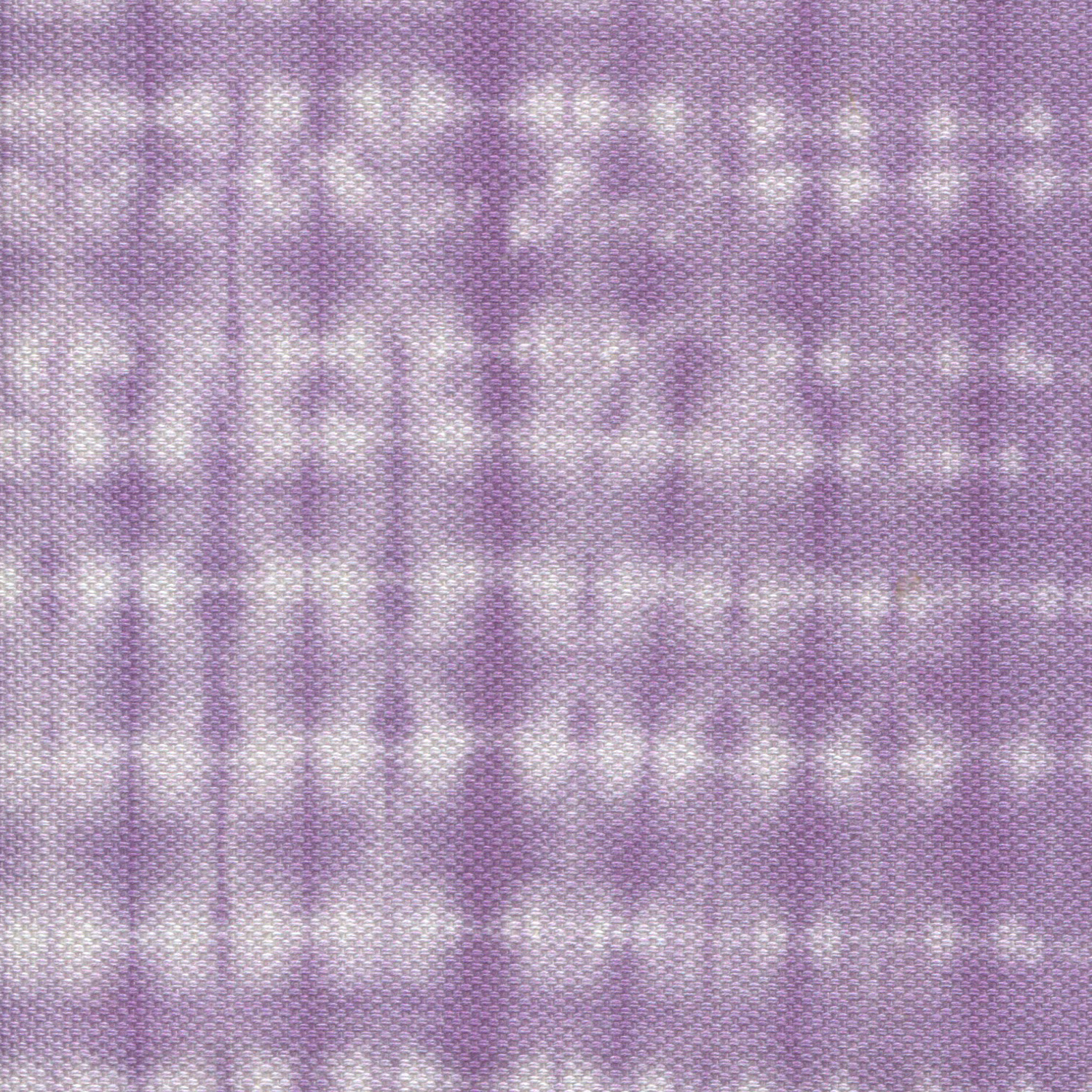 Baja Lilac