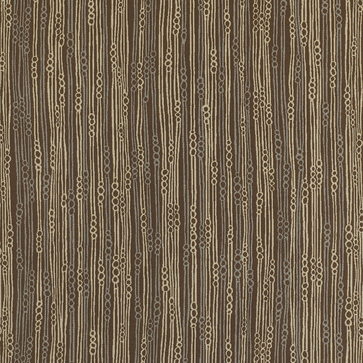 Silk Rain Cowrie