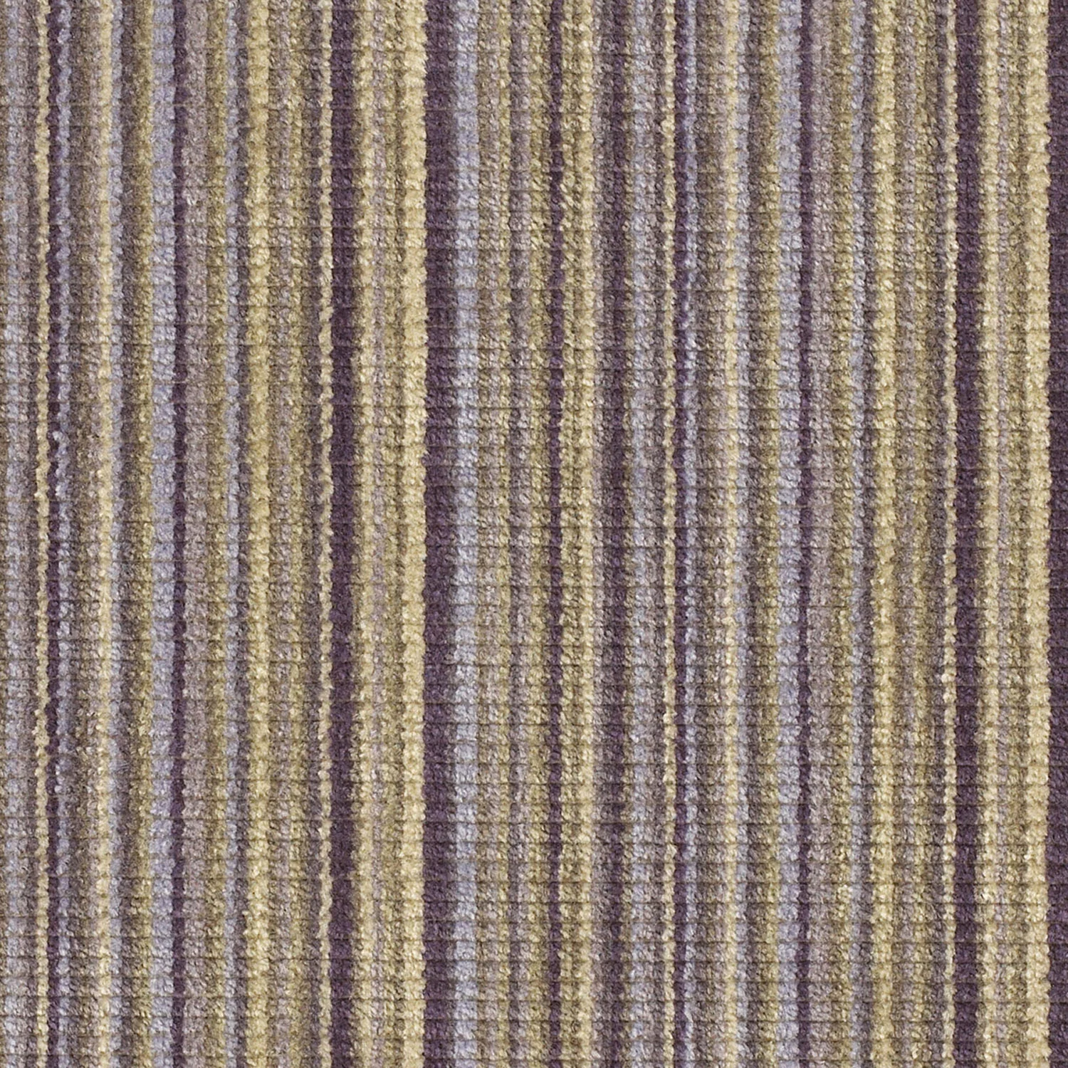 Linae Lavendar