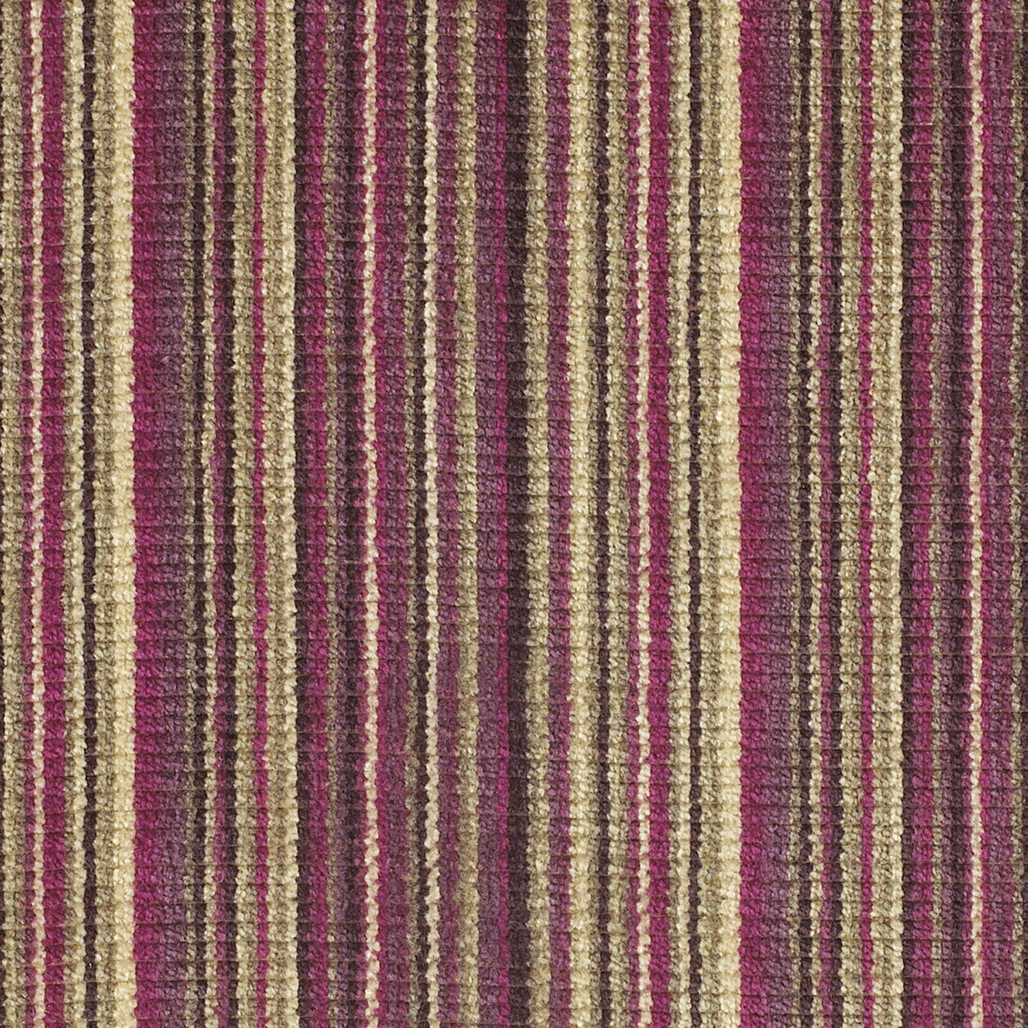 Linae Raspberry