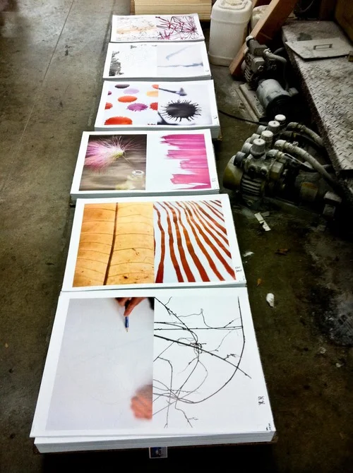 colorset_3_process-2426.jpg