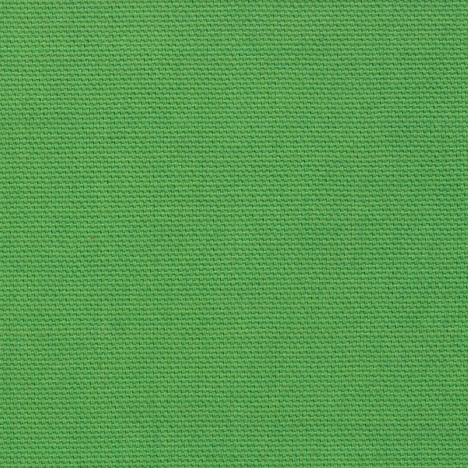 solid canvas - green