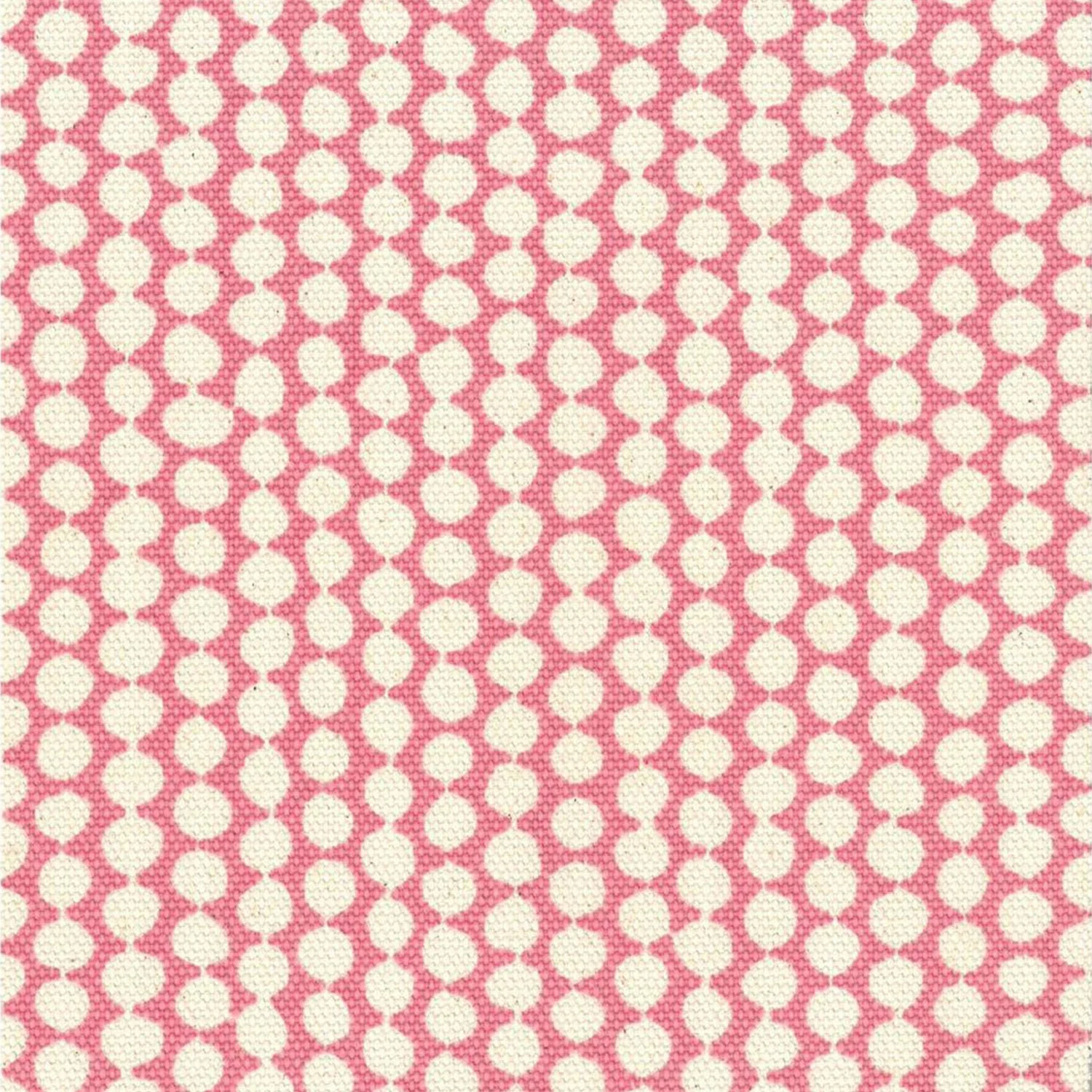 Checker Rose