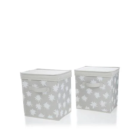 hable-construction-2-pack-storage-bins-with-lids-d-20170706164119147-546028_0C8.jpg