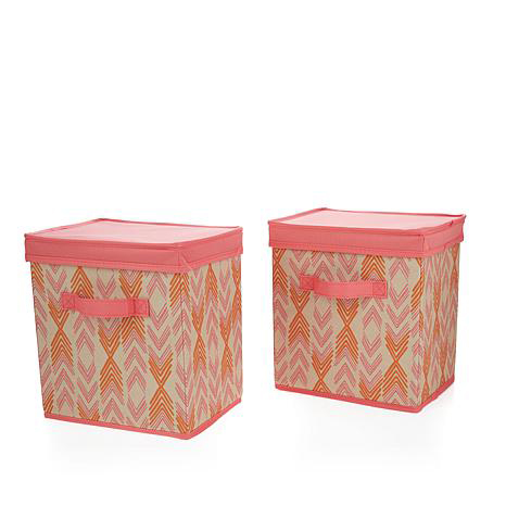 2 Pack Organization Bins with Lids in Summit