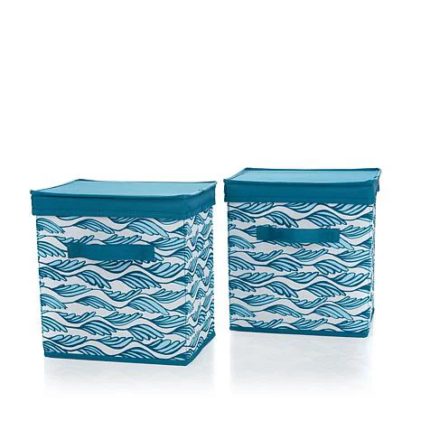 2 Pack Organization Bins with Lids in Palm