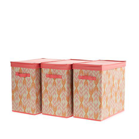 3 Pack Organization Bins with Lids in Summit