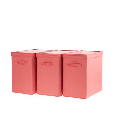 3 Pack Organization Bins with Lids in Coral