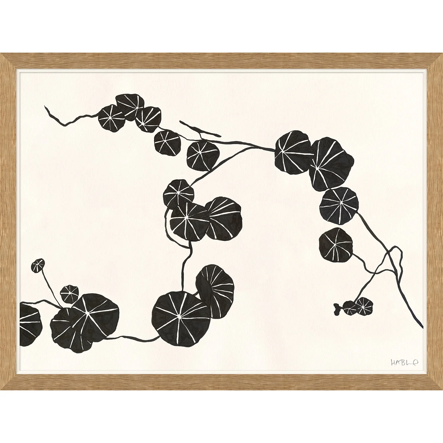 HABLE-WALL-ART-NASTURTIUM.jpg