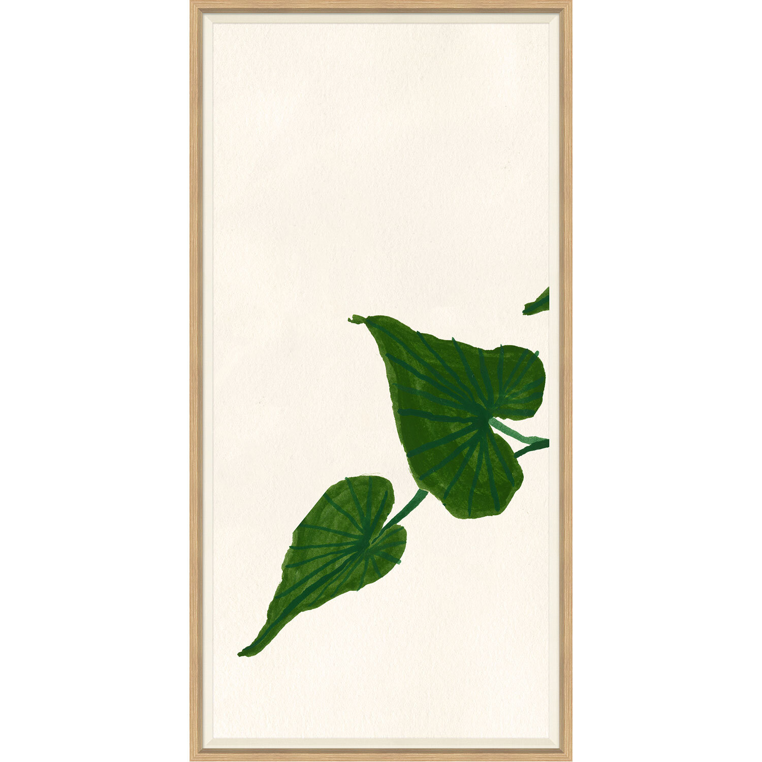Ivy I