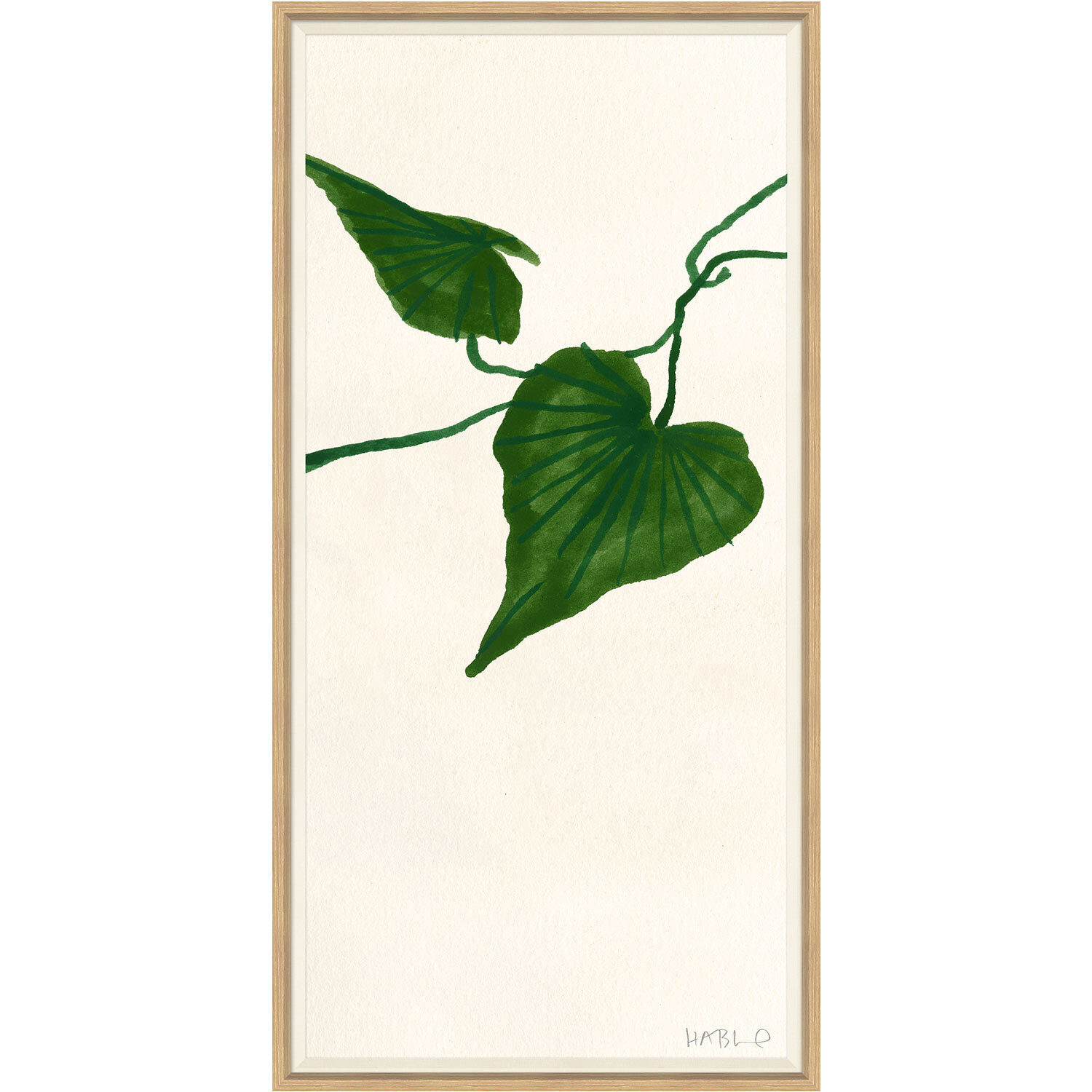 Ivy III