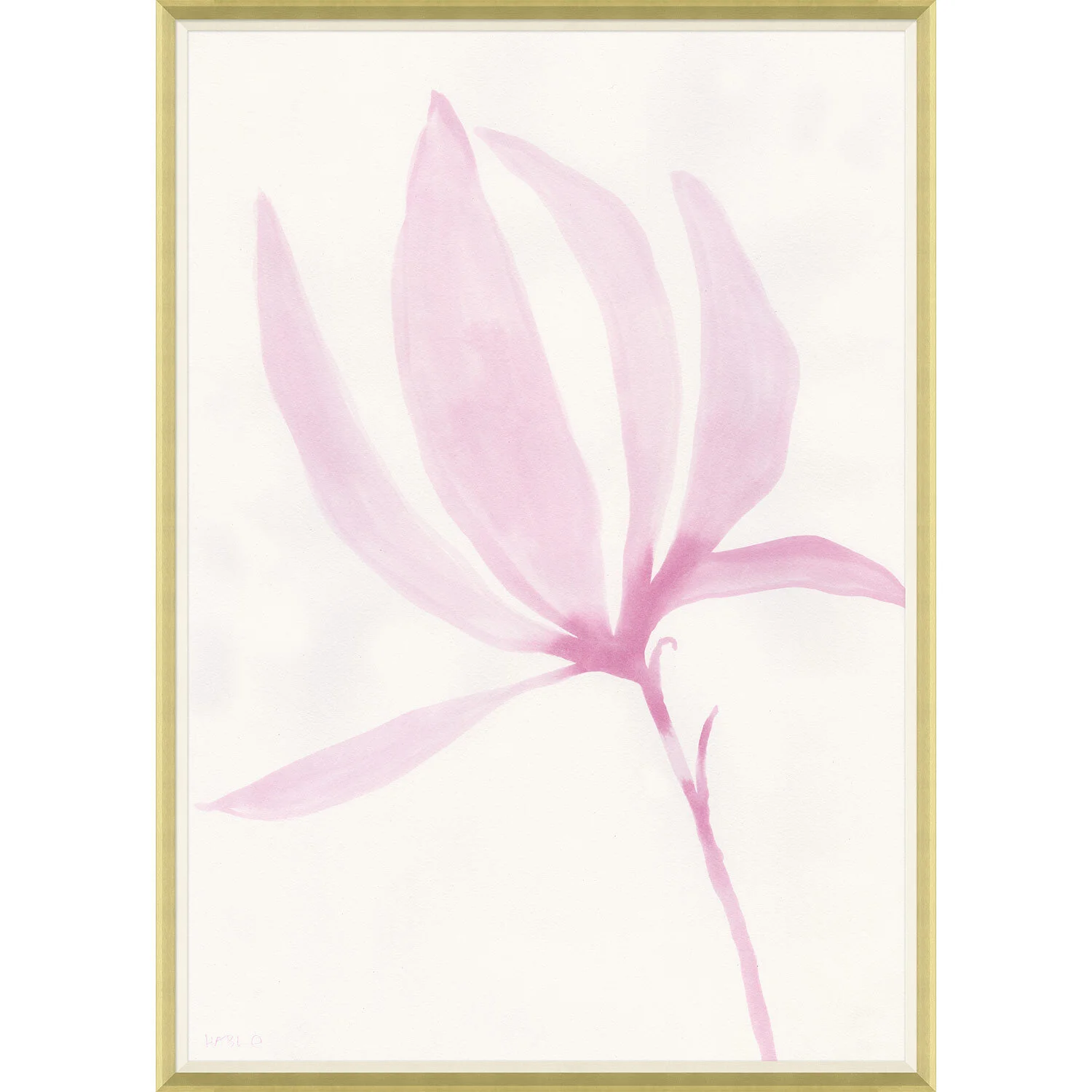 Tulip Magnolia Single
