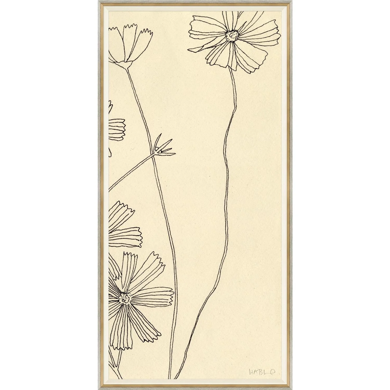 Cosmos III