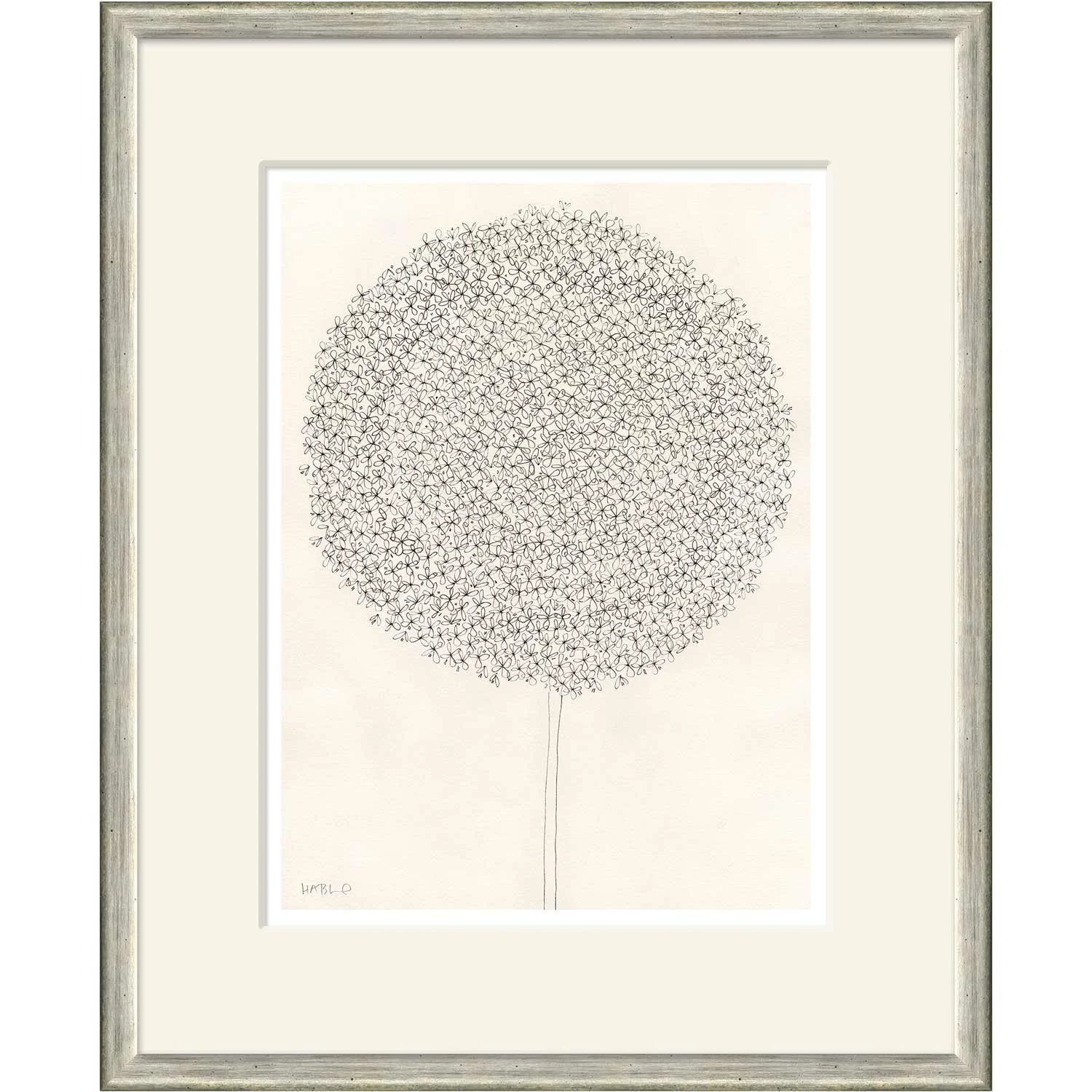 Dandelion