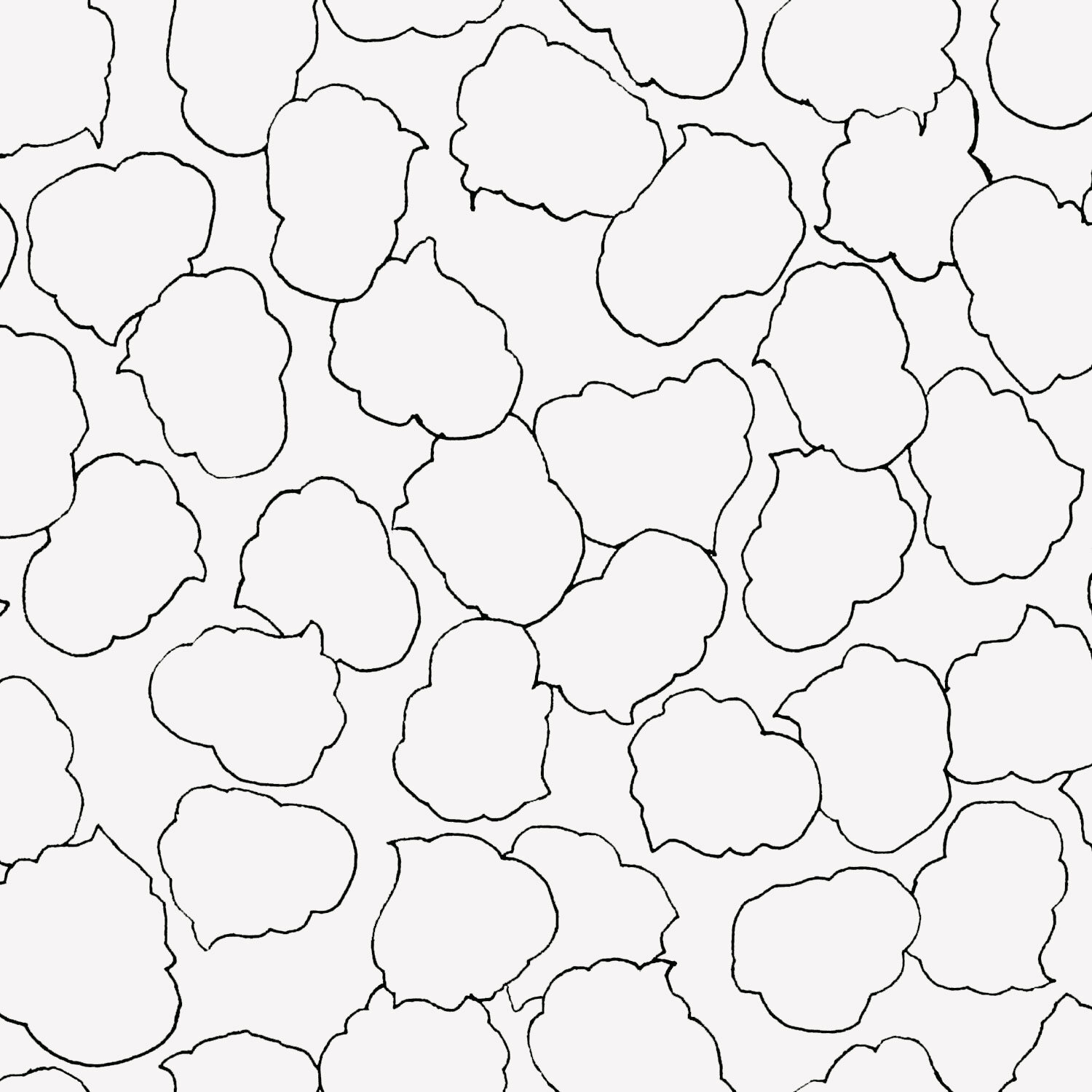 Lotus Leaves Black on White