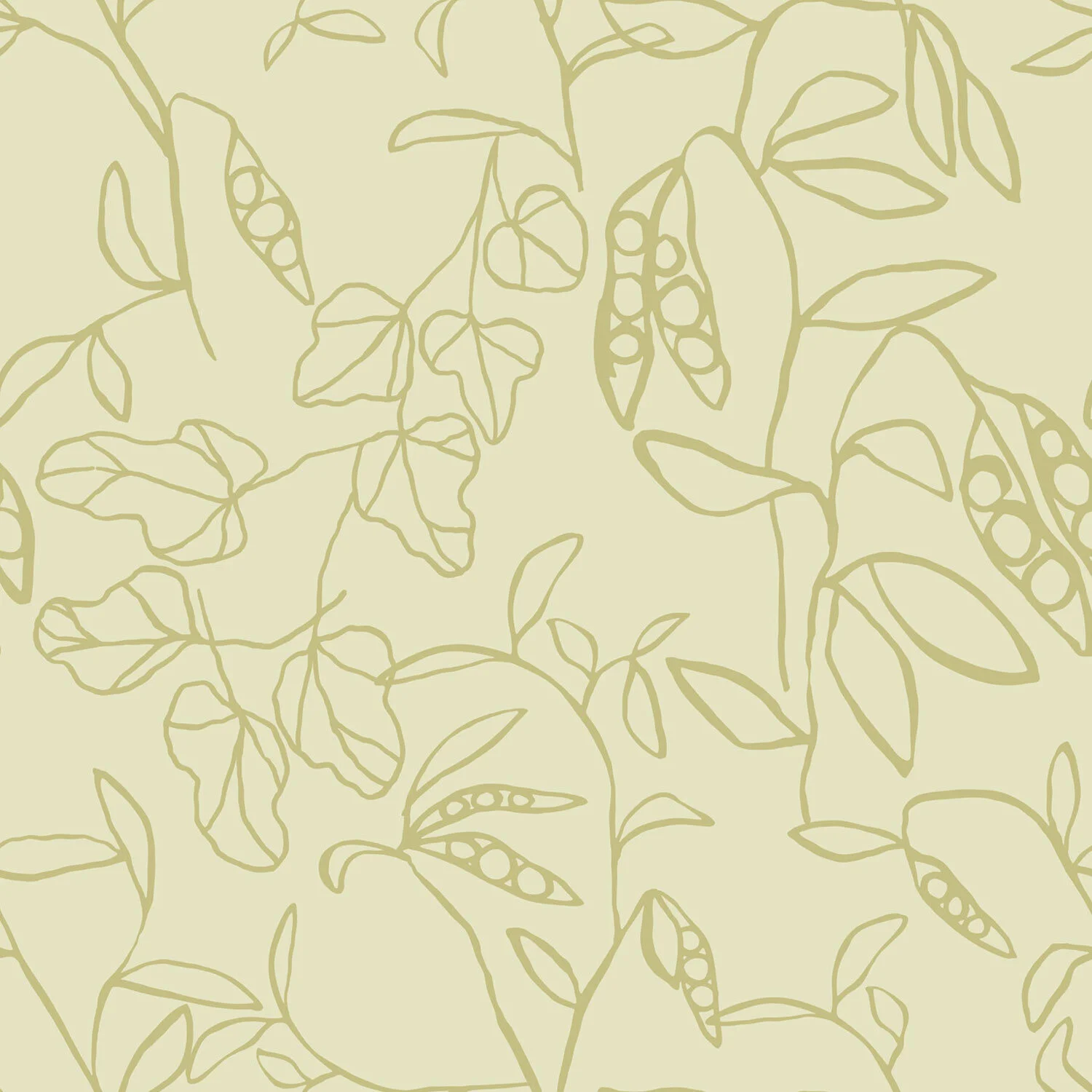 Phaseolus Vulgaris Lime