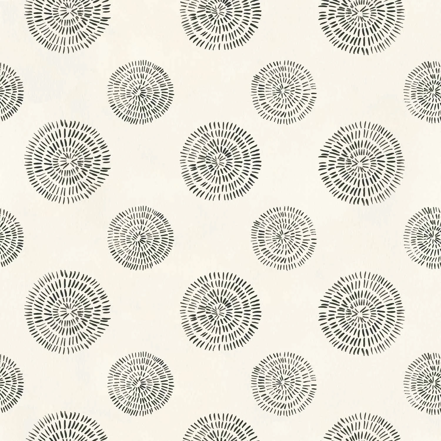 Sandraker Black on Cream