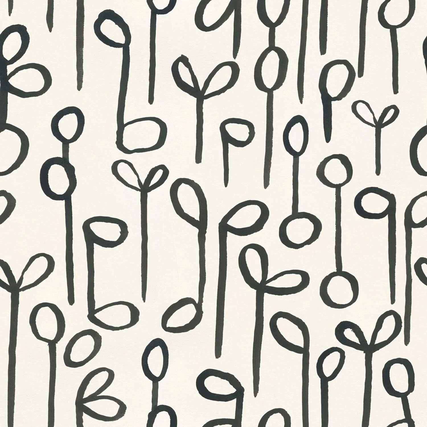 Seedlings Black on Cream