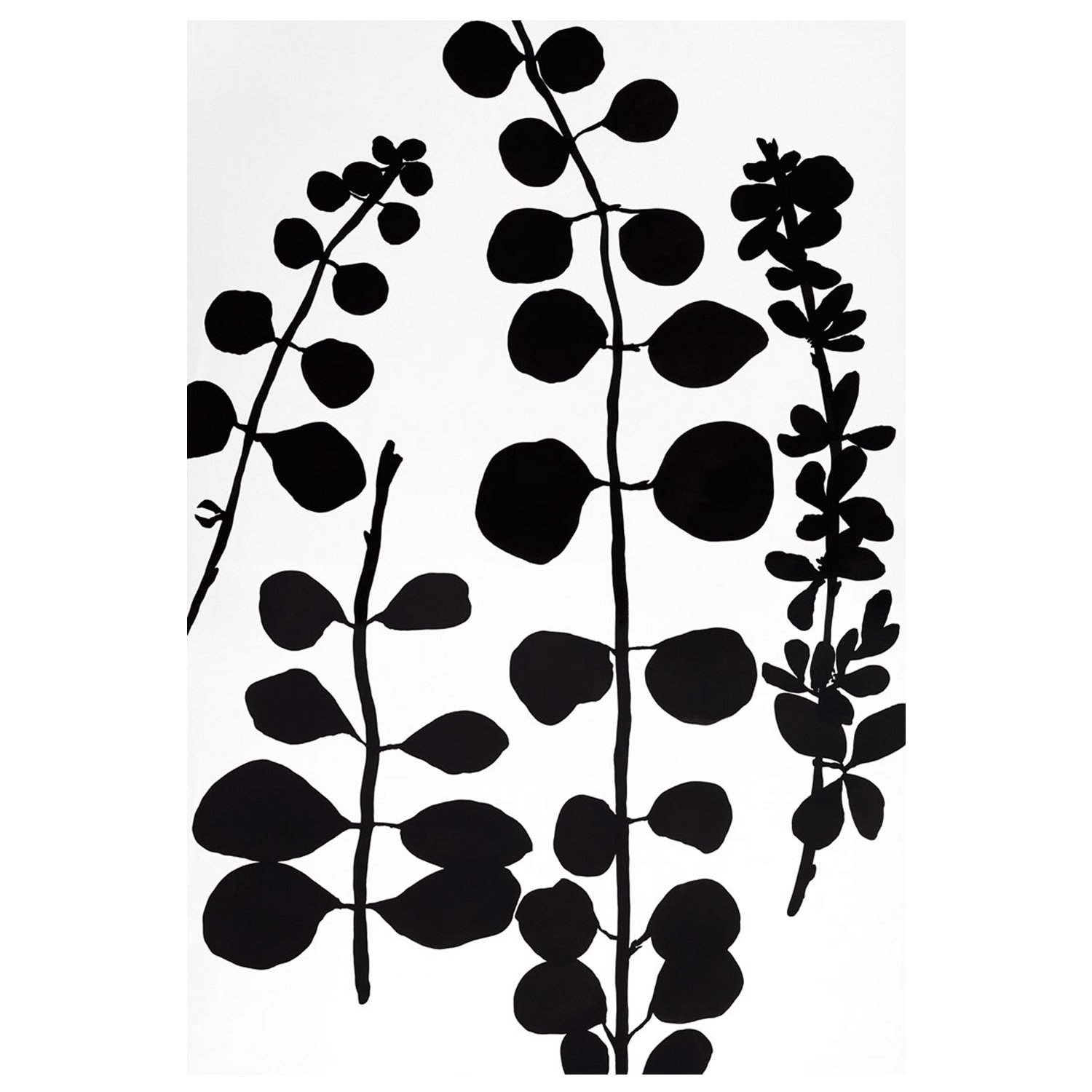 Black Gray 1