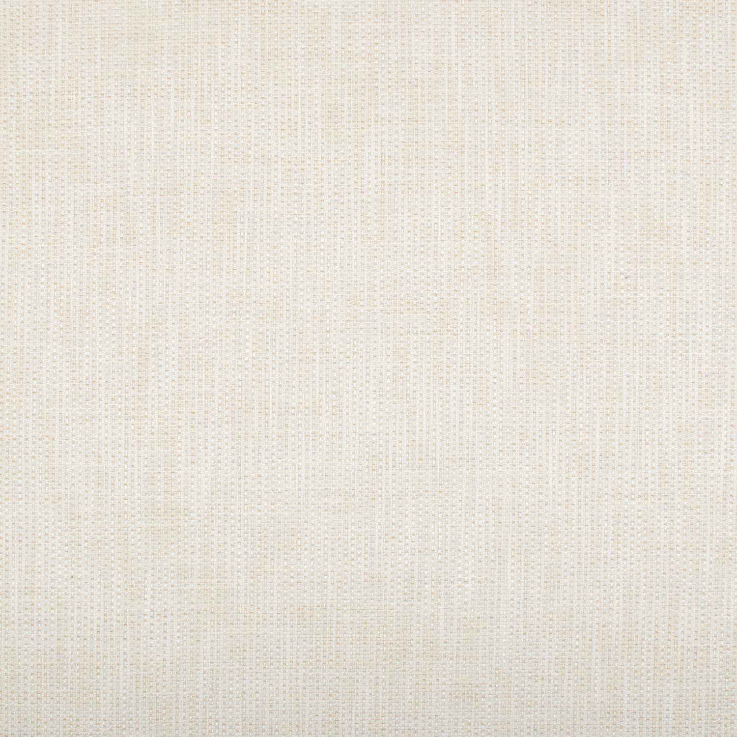 HABLE-MW-PLAIN-BRENSON-PARCHMENT.jpg