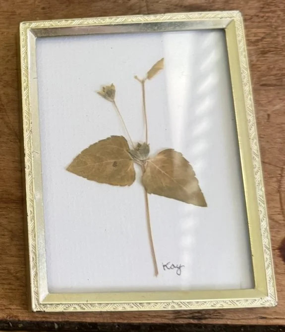Kay Hable Pressed Flower Art