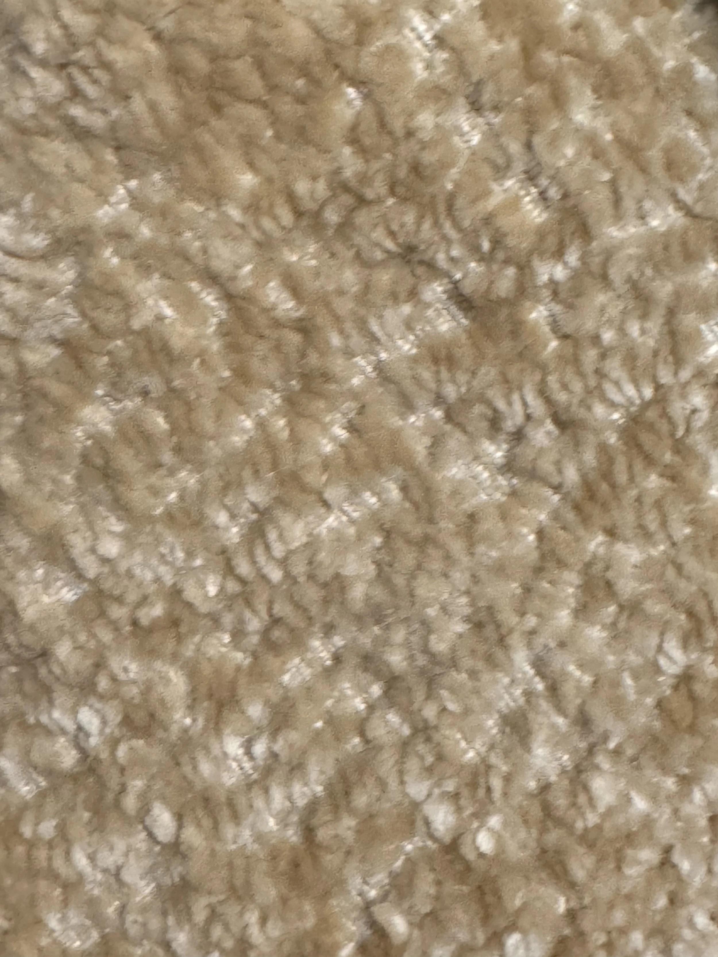 Creamy Tan Boucle