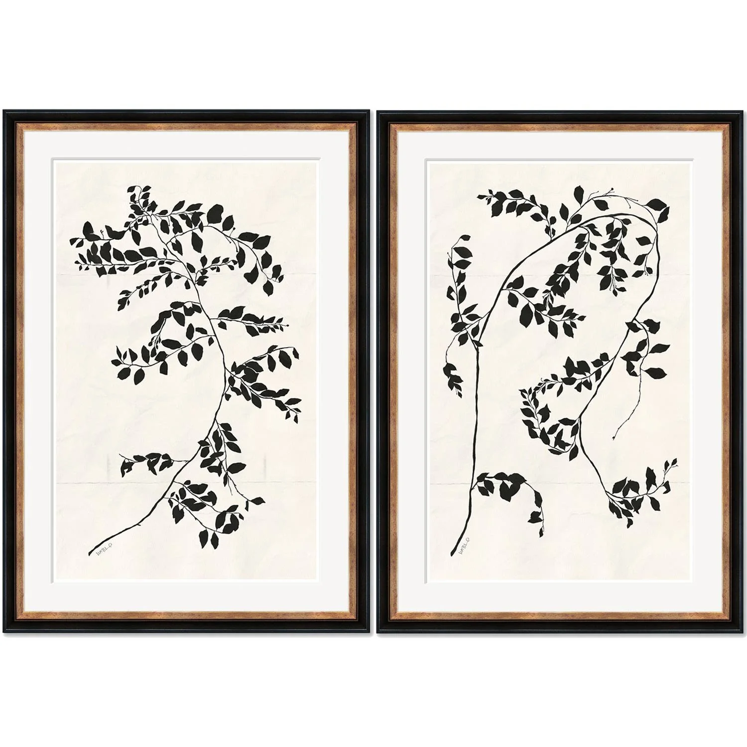 Clematis Vine I & II