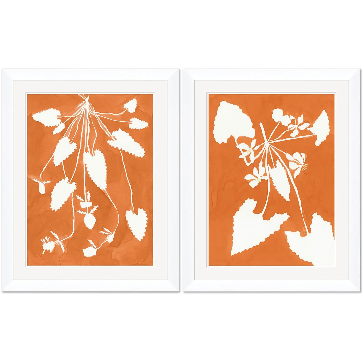 HABLE-WALL-ART-HC-25-0286SET-MARIGOLD_PIXIE_ALOCASIA.jpg