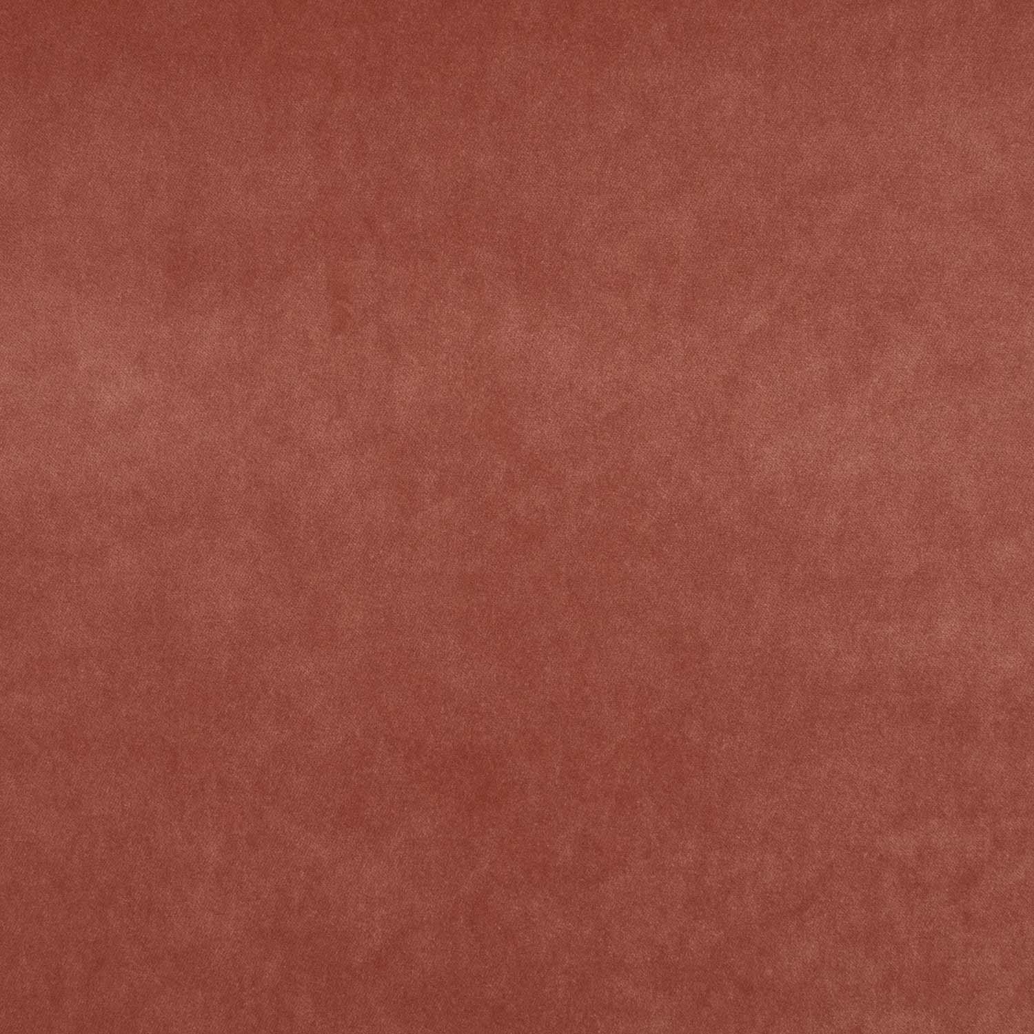 HABLE-MW-PLAIN-EMILIA-WOODROSE.jpg