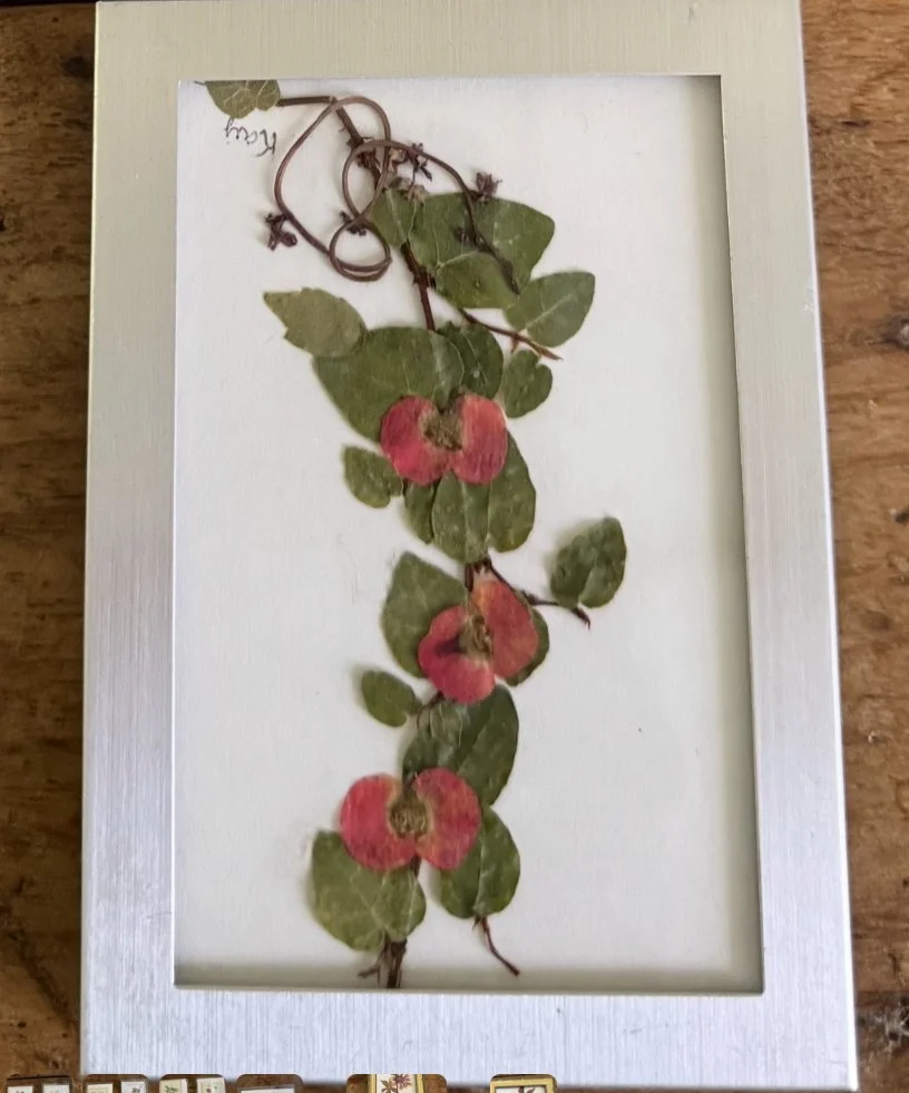 Kay Hable Pressed Flower Art