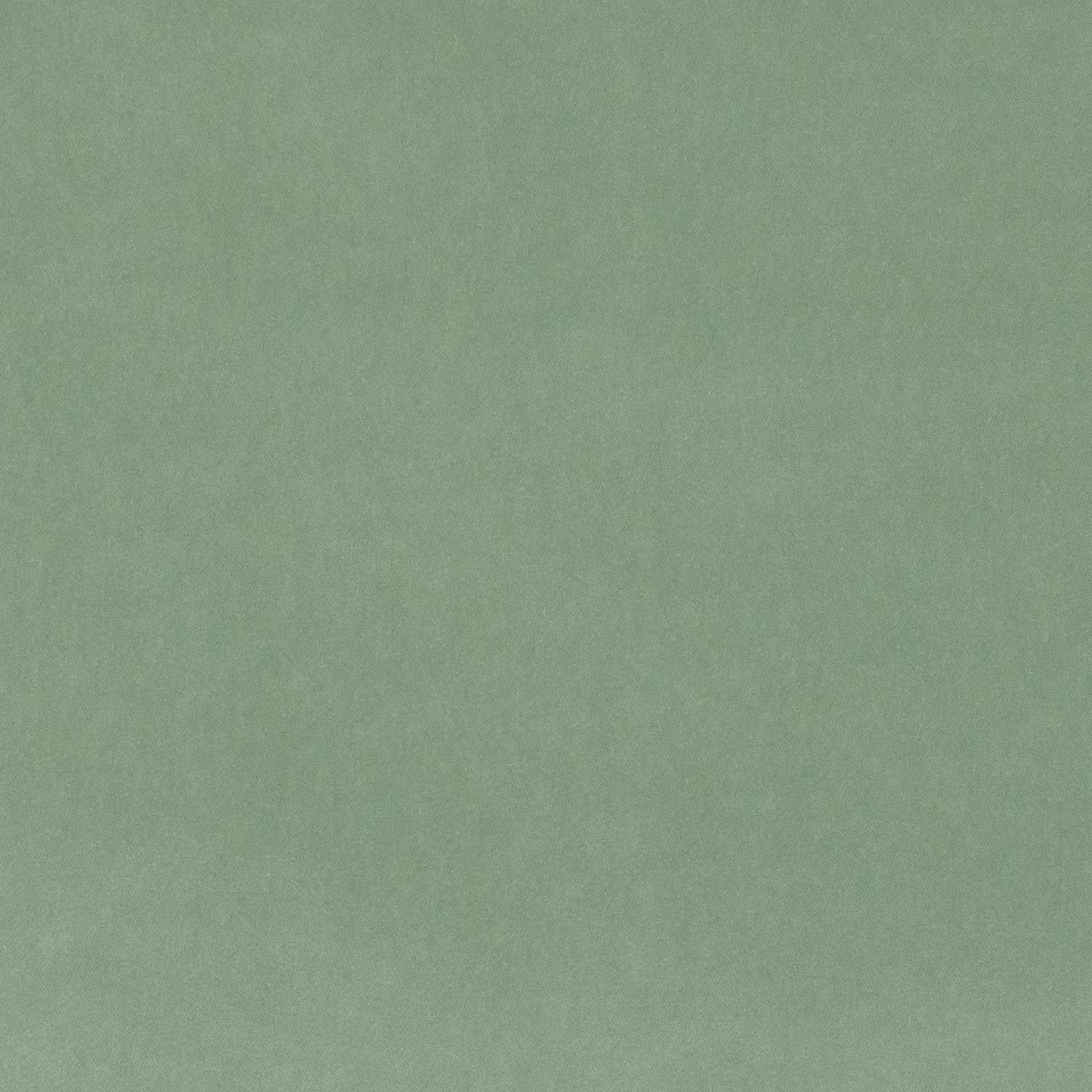 HABLE-MW-PLAIN-BANKS-MEADOW.jpg