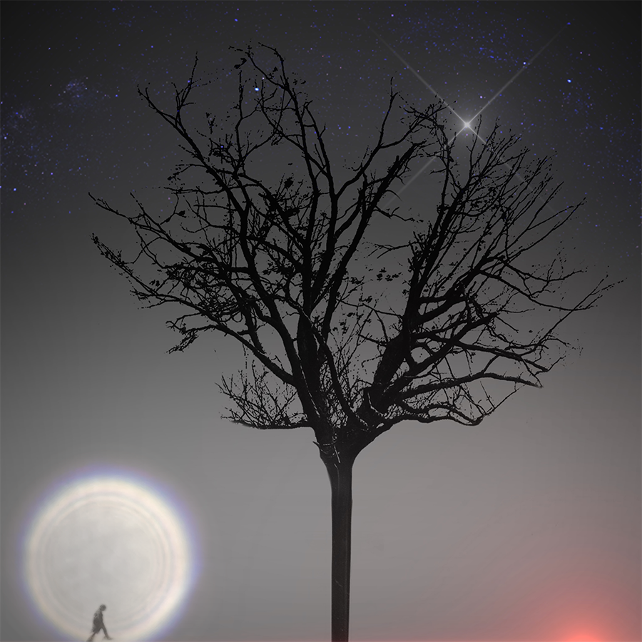 Observe, Explore, Discuss the Self