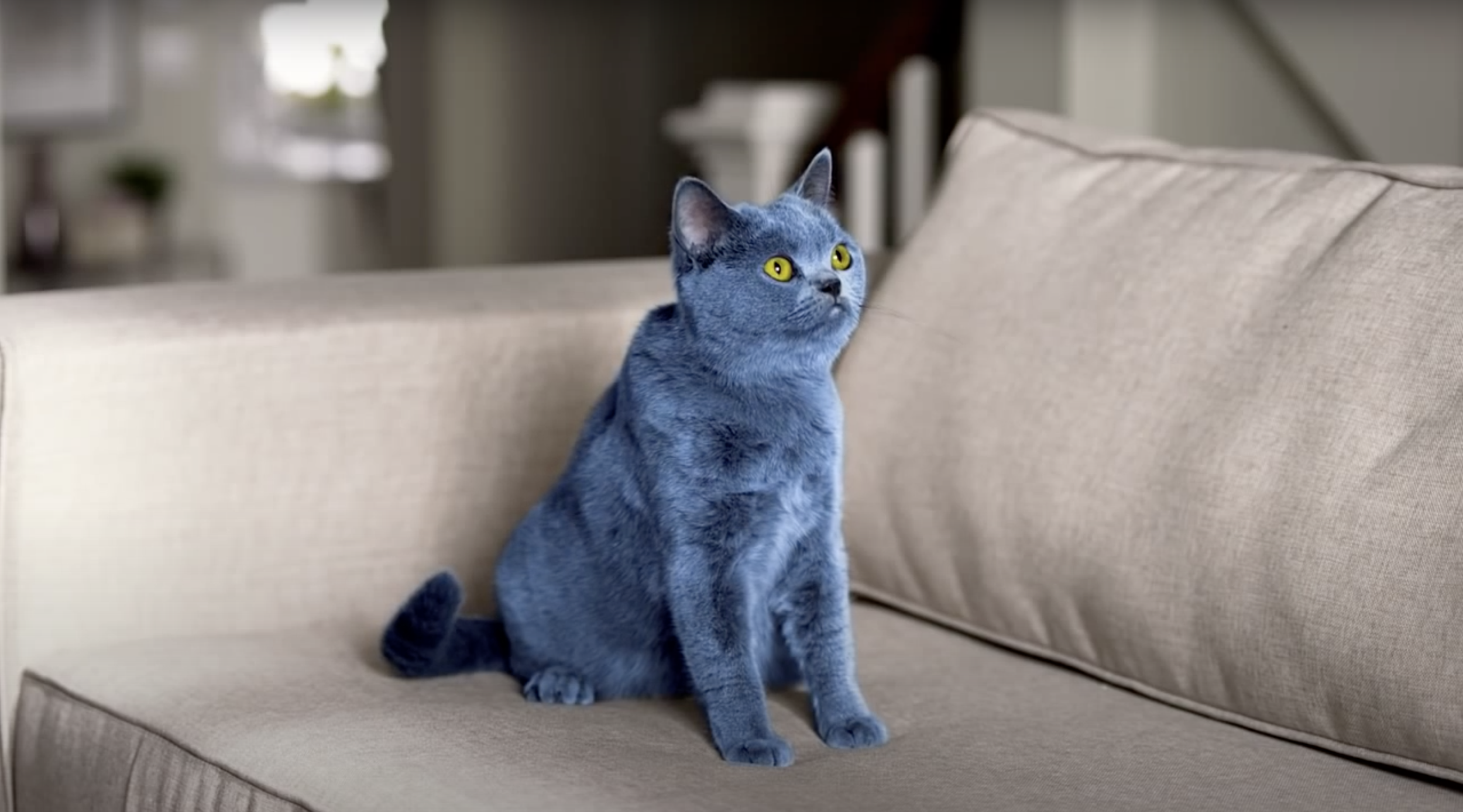 Screen Shot 2023-01-17 at 10.55.12 AM.png