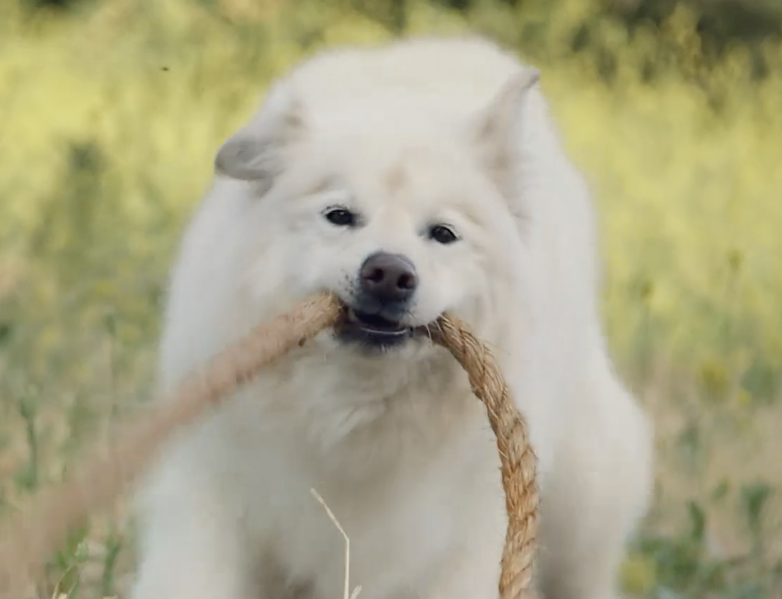 So-Called "Heartwarming Content" Leaves Hearts Entirely Frozen