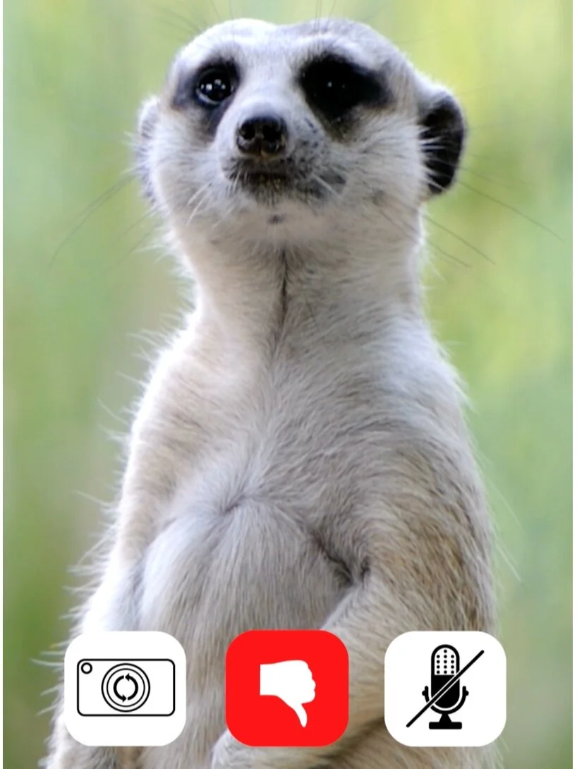 GEICO Interrupts Their Own Instagram Stories