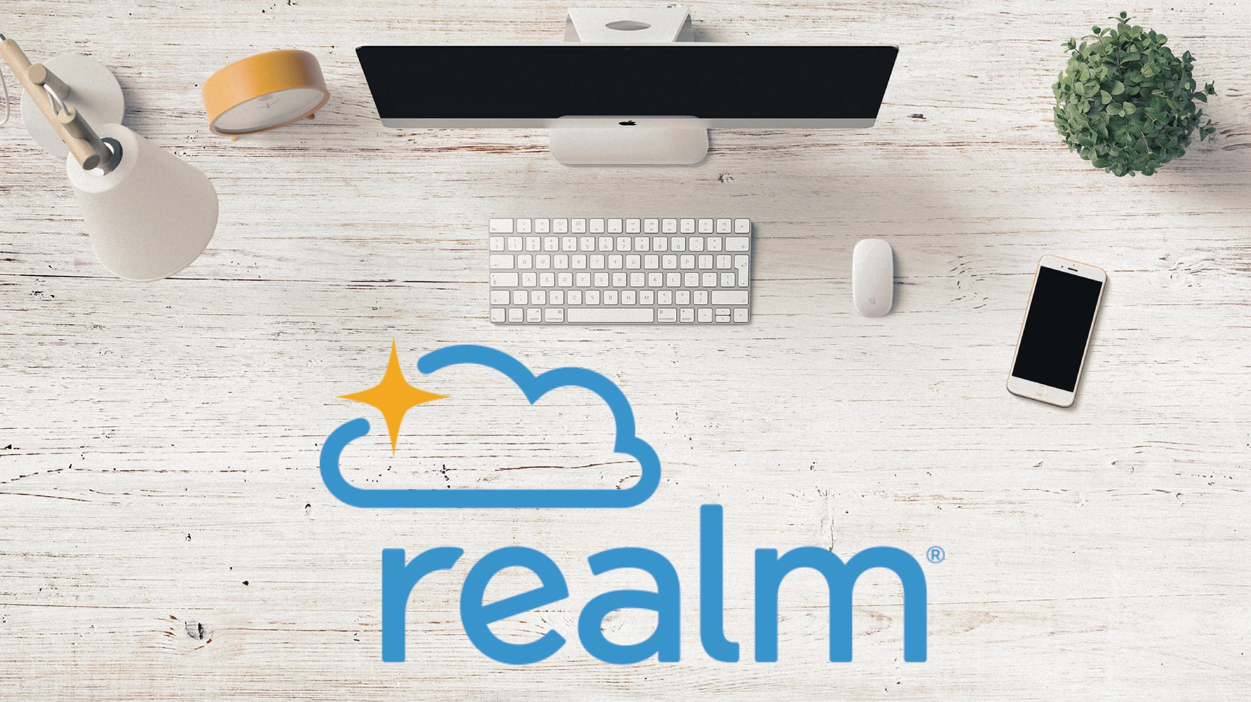 REALM_2019_Poster.jpg