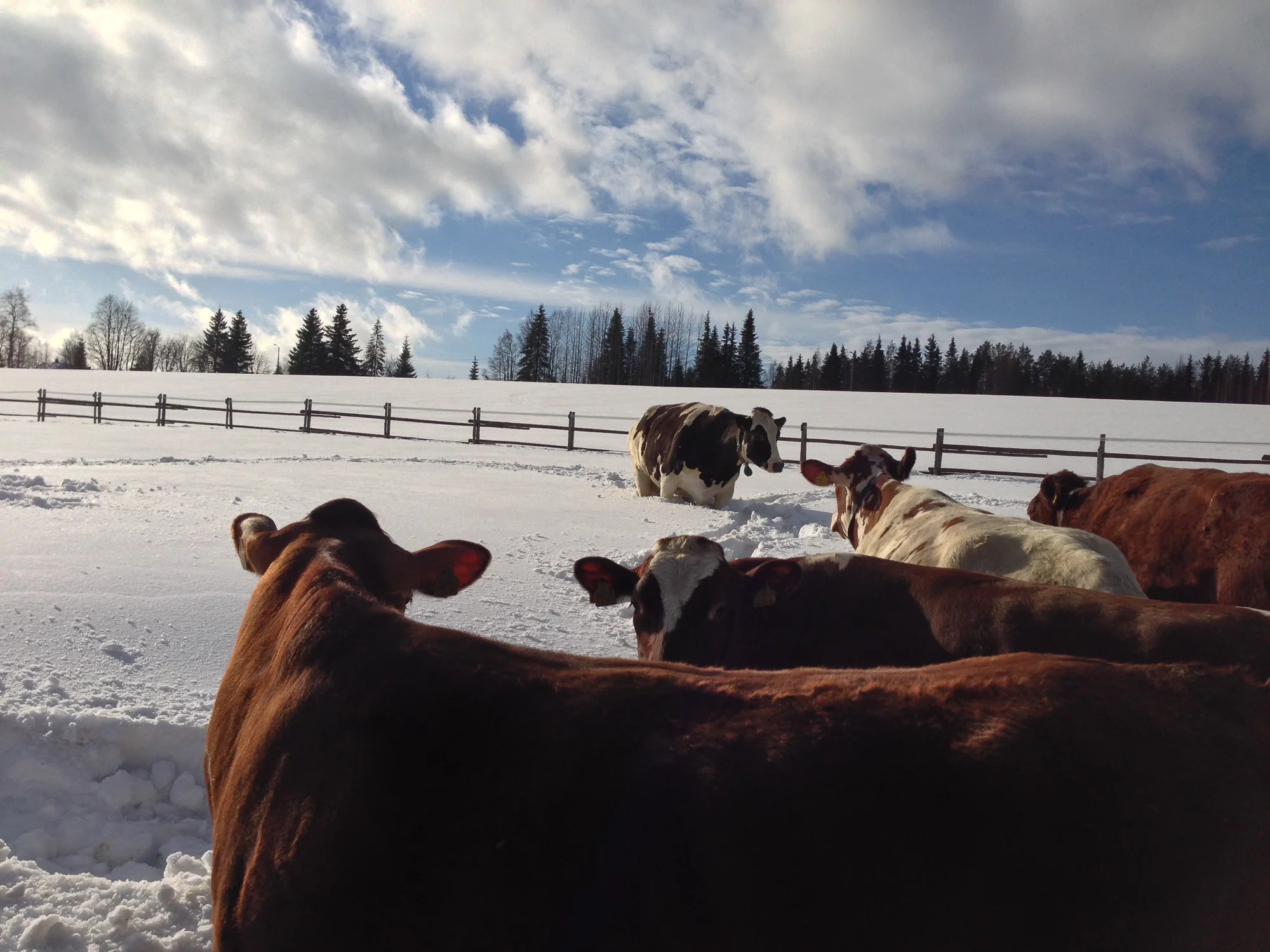 20140307-2014-03-07 12.34.13 HDR.jpg