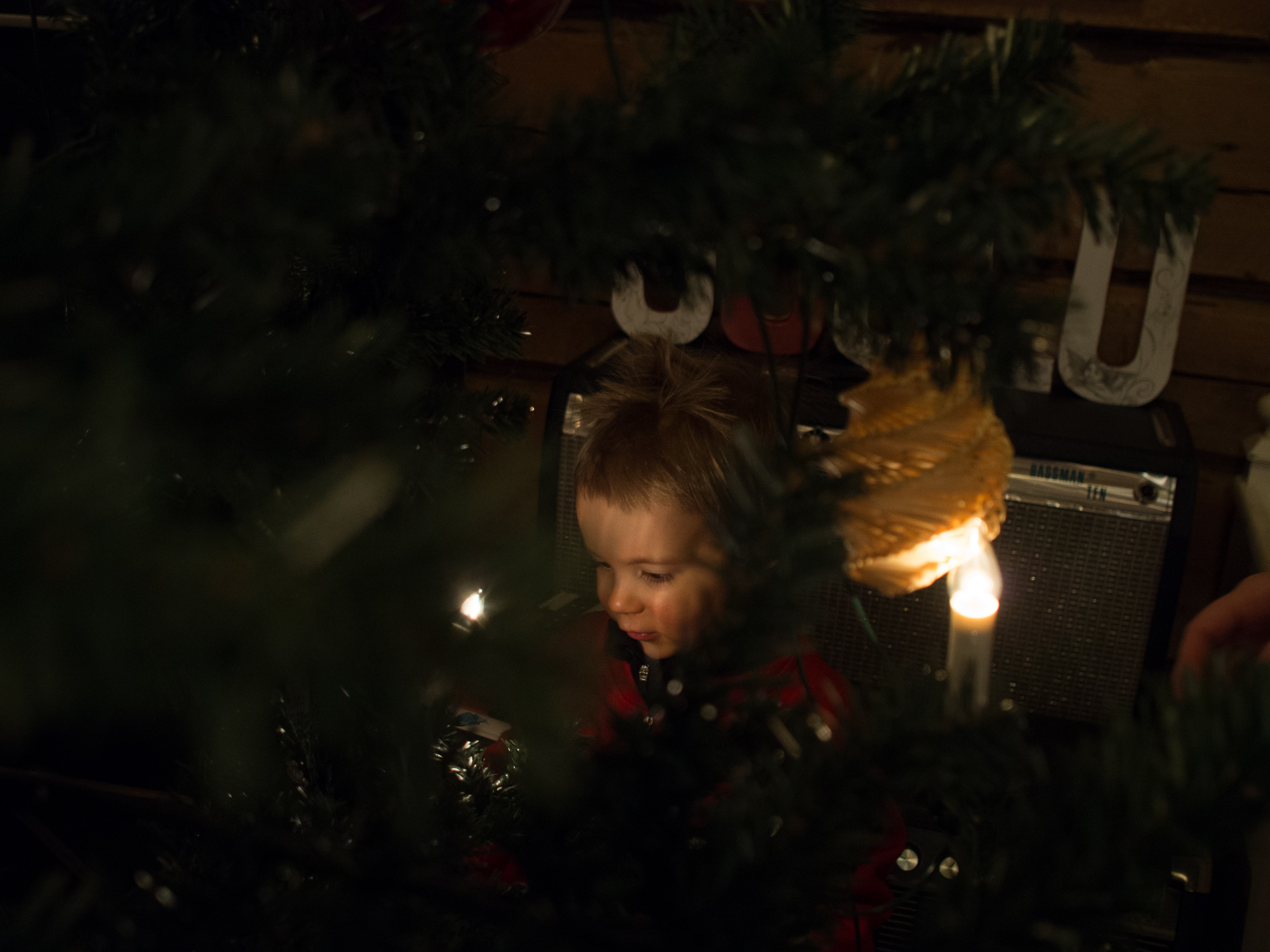 20141223-_C230078.jpg