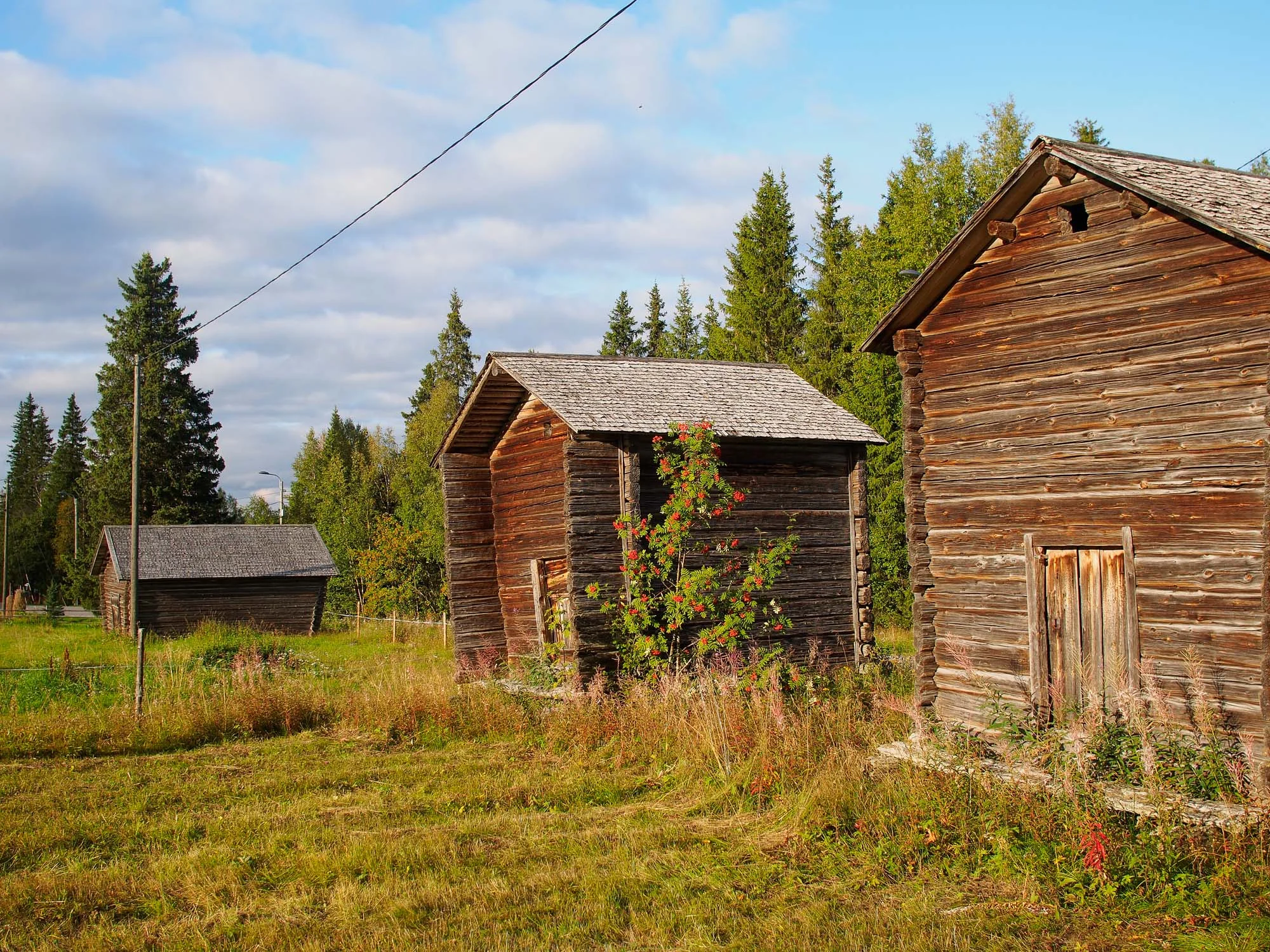 20140824-_8240765.jpg