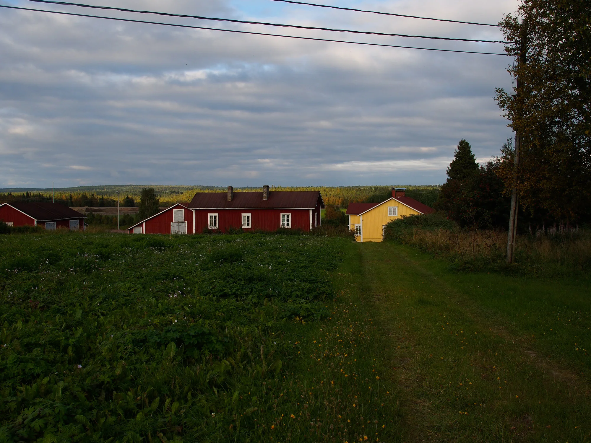 20140824-_8240819.jpg