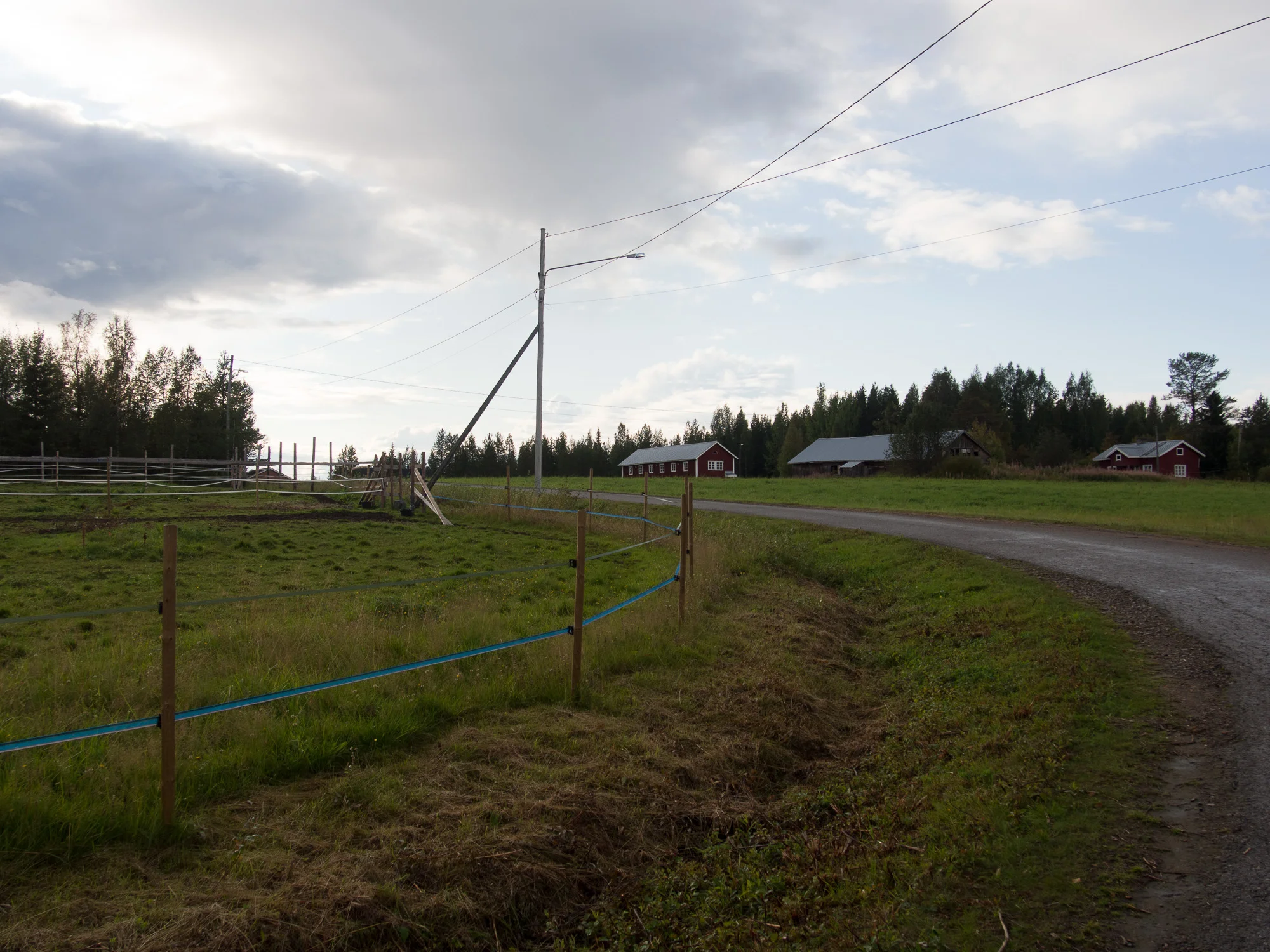 20140825-_8250080.jpg