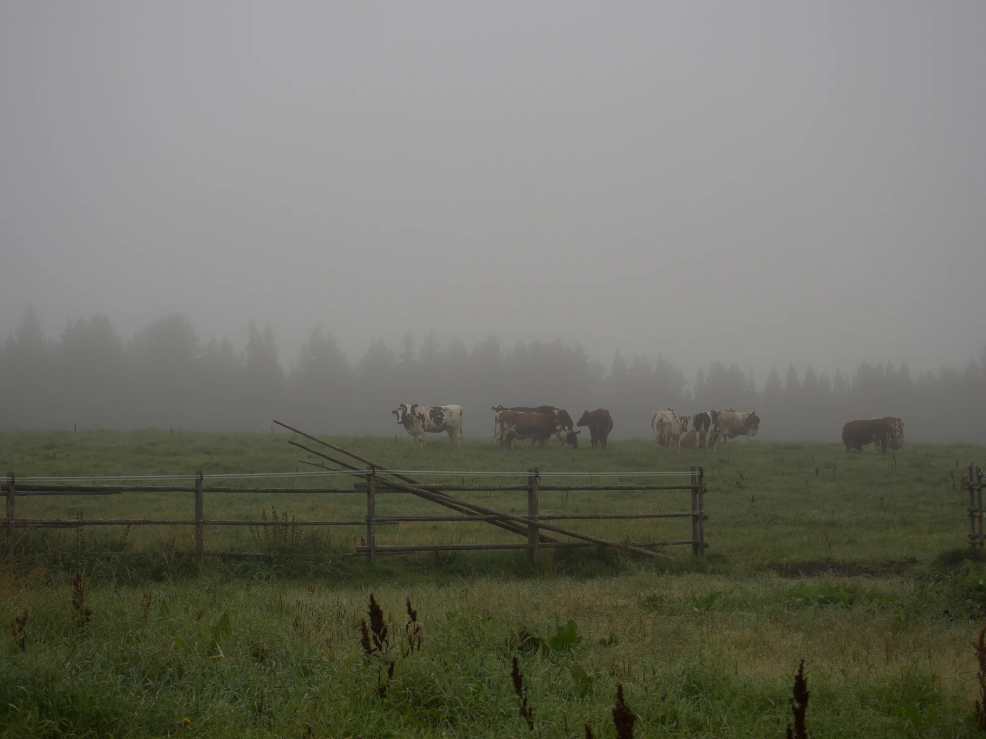 20140826-_8260001.jpg