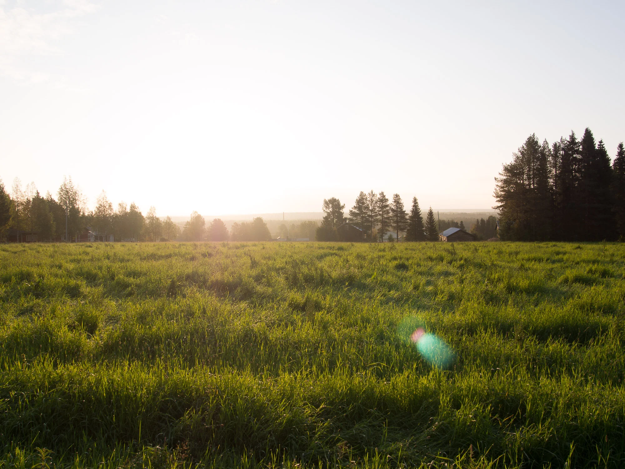 20140829-_8290104.jpg