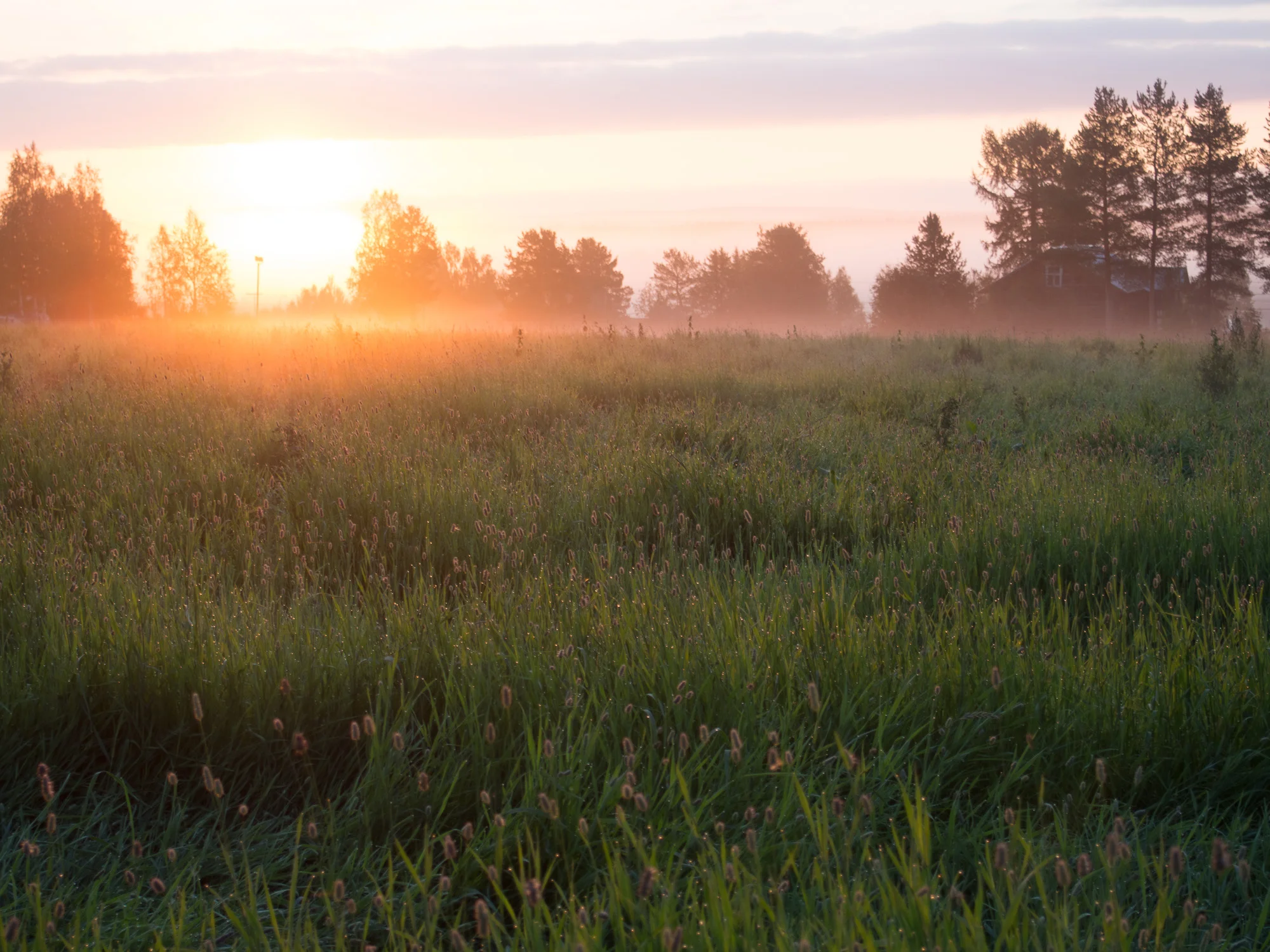 20140830-_8300055.jpg