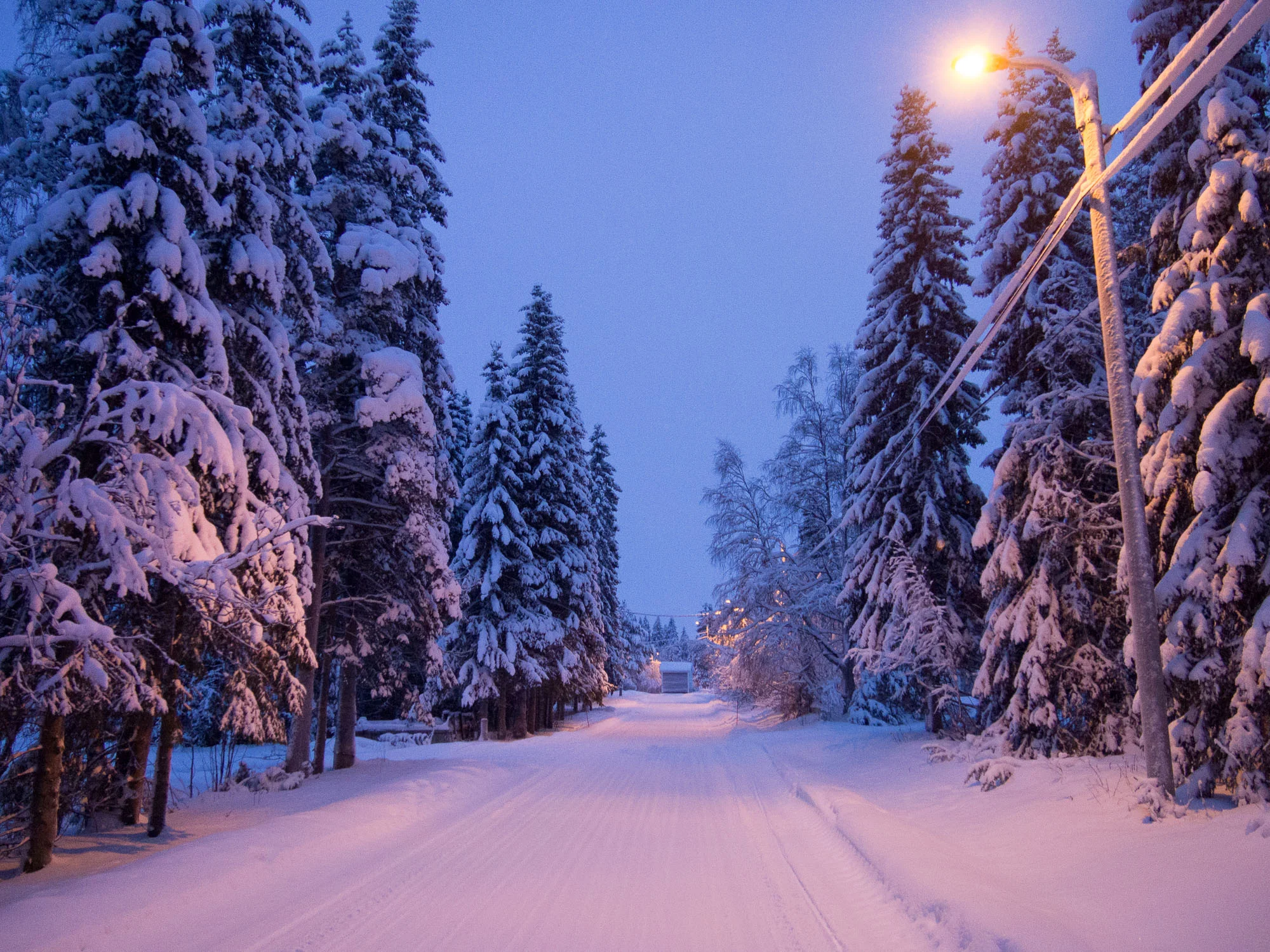 20150116-_1160020.jpg