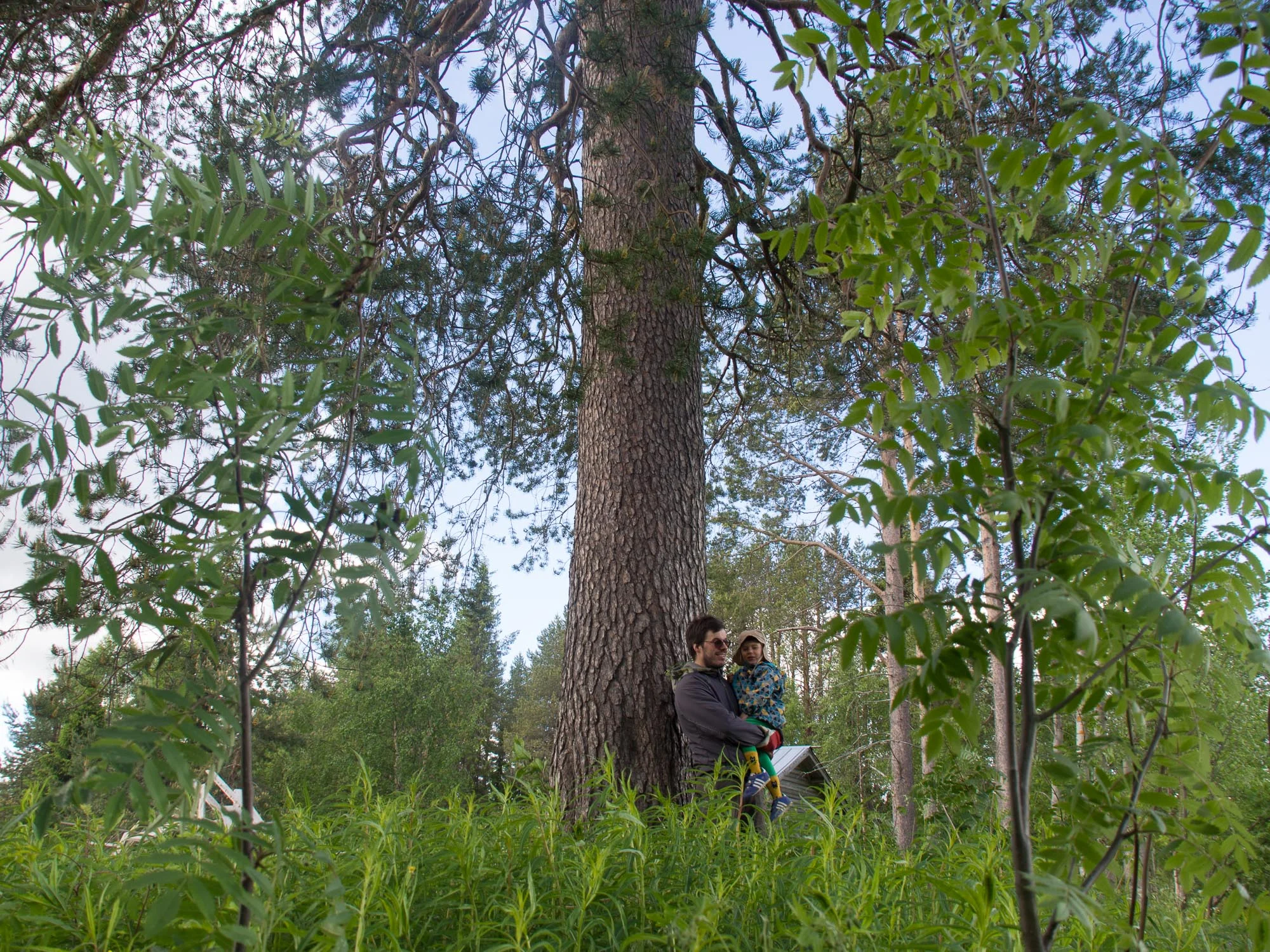 20150629-_6290362.jpg