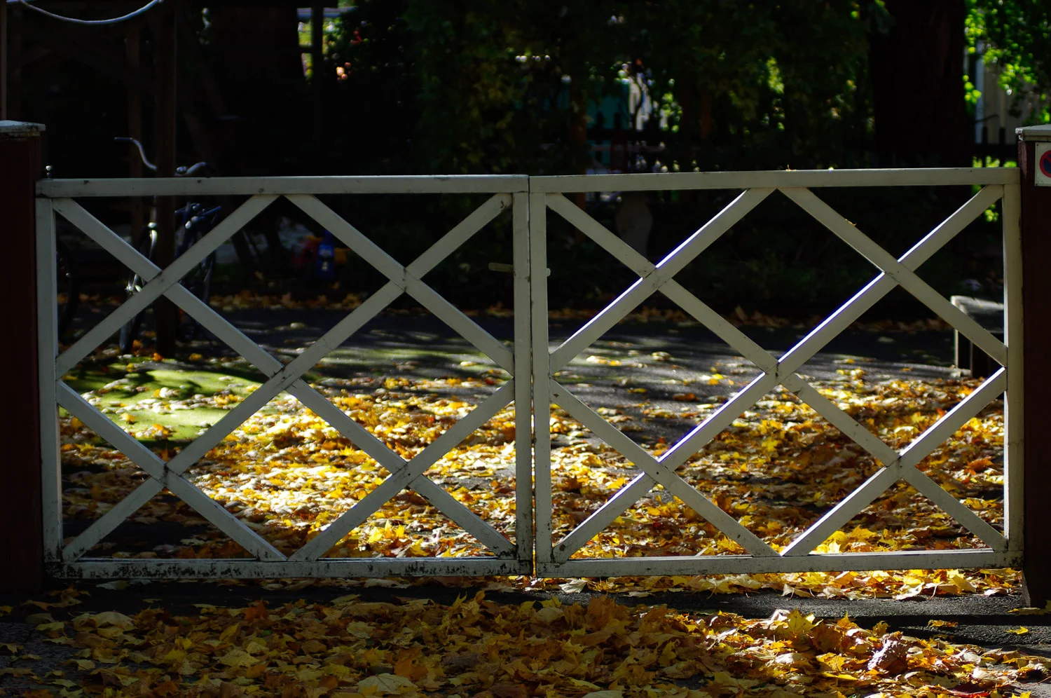 20121007-_IGP7297.jpg