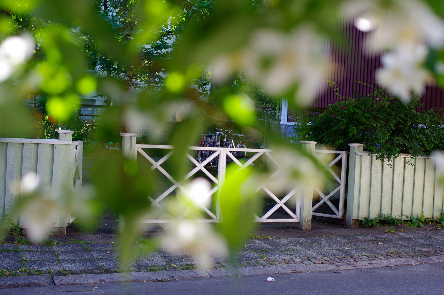 20120722-_IGP5477.jpg