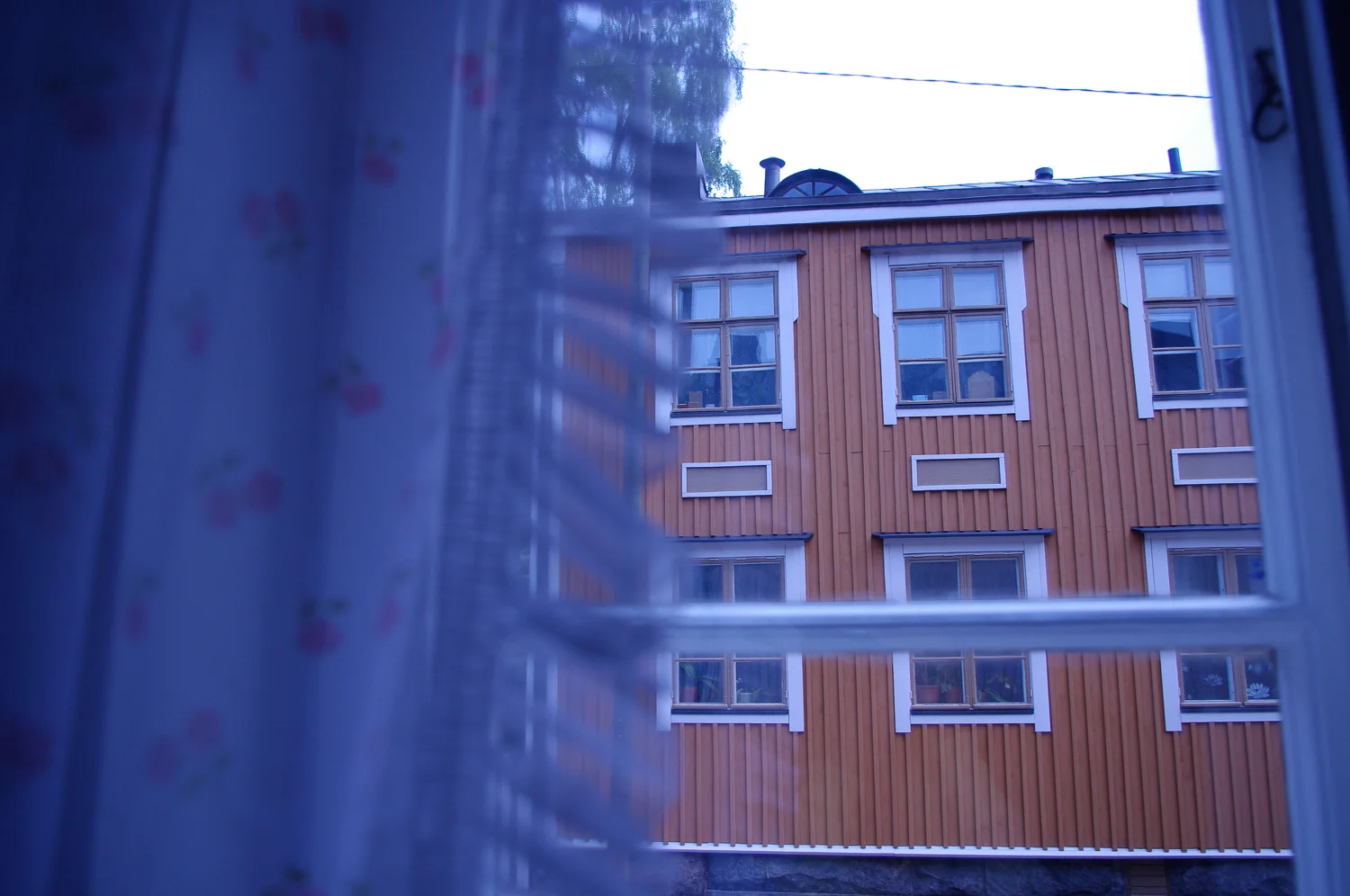 IMGP0178.jpg