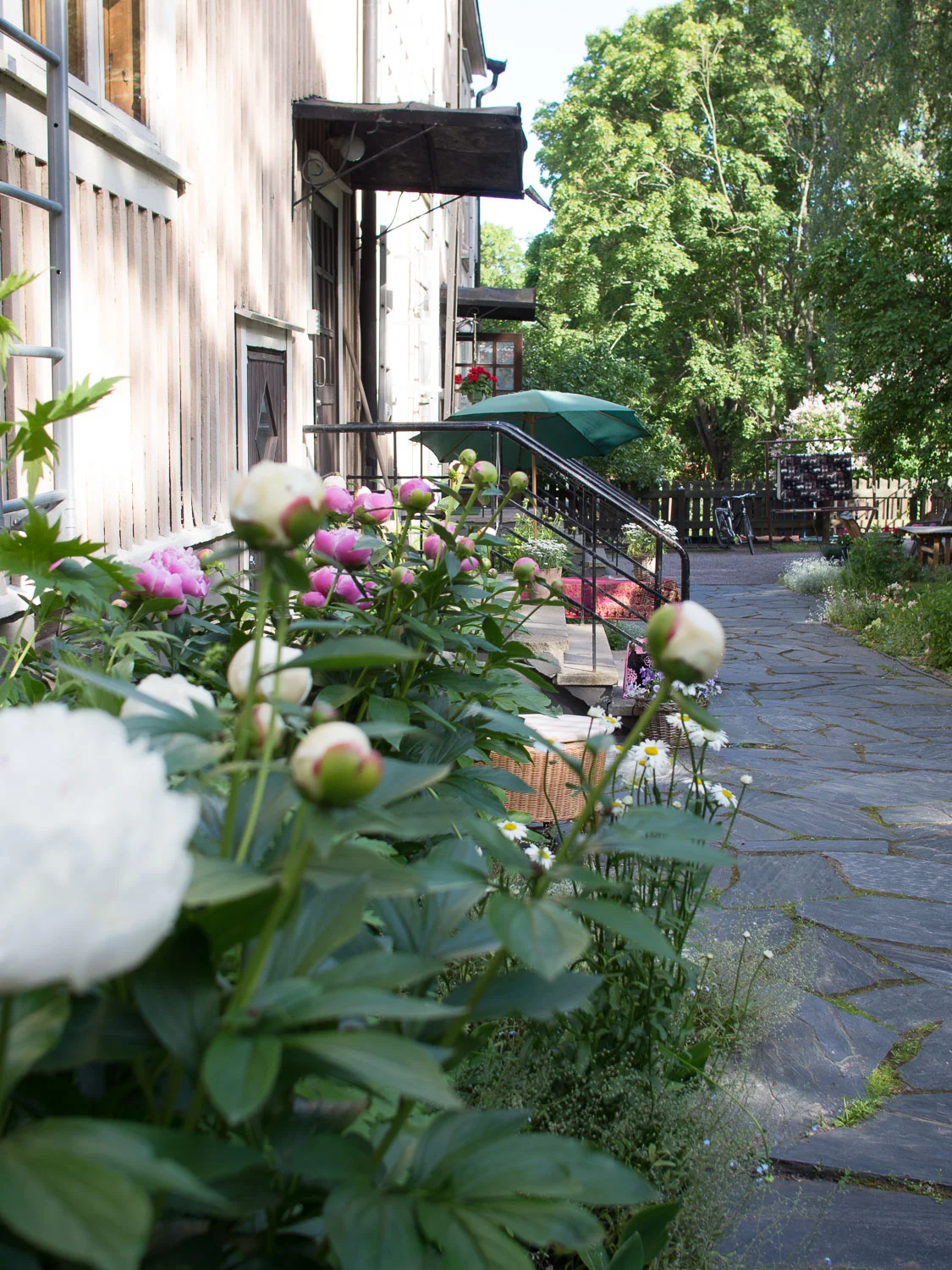 20140615-_6150432.jpg
